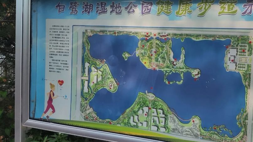 白鹭湖湿地公园旅行图片 3
