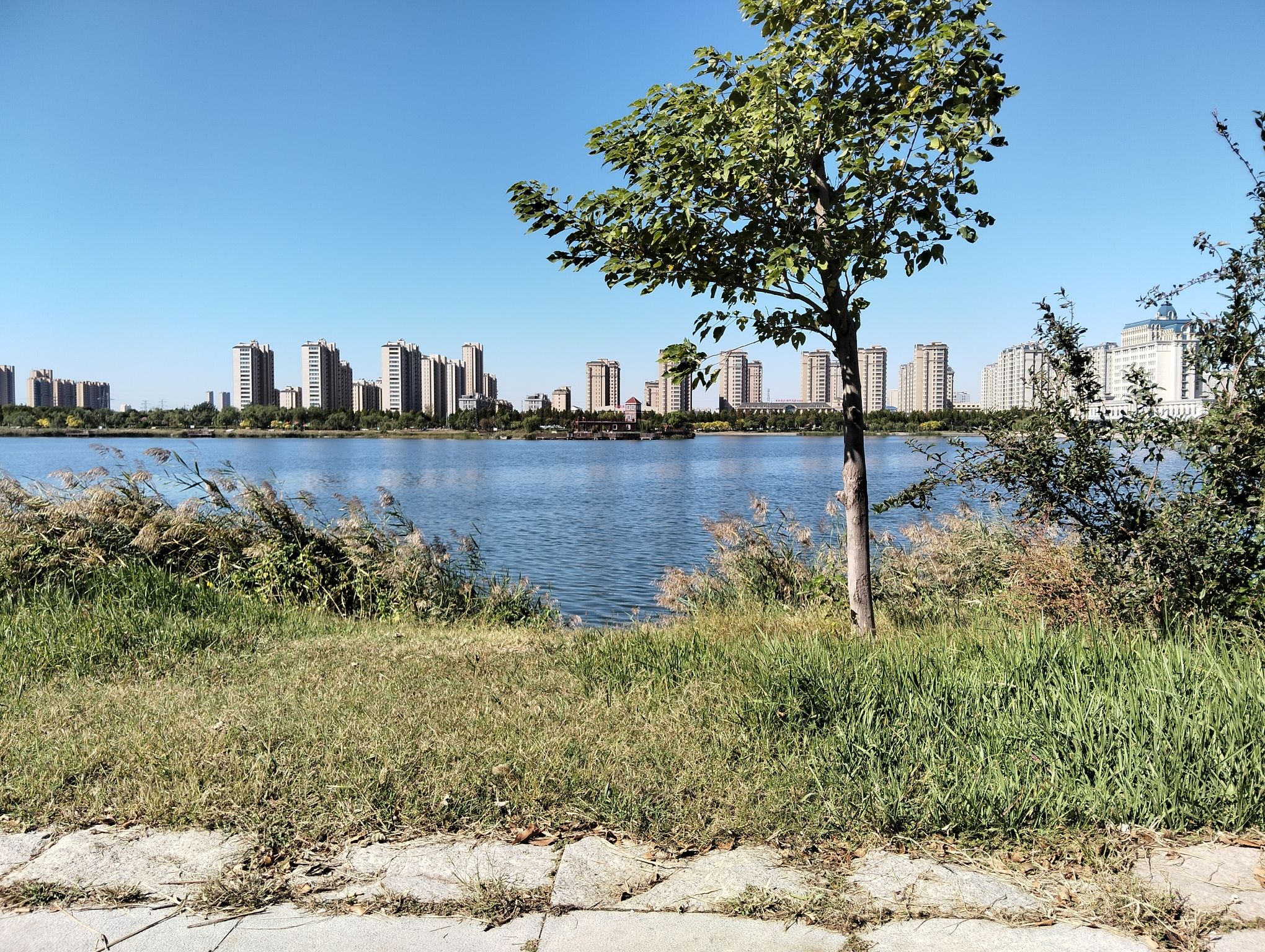 白鹭湖湿地公园