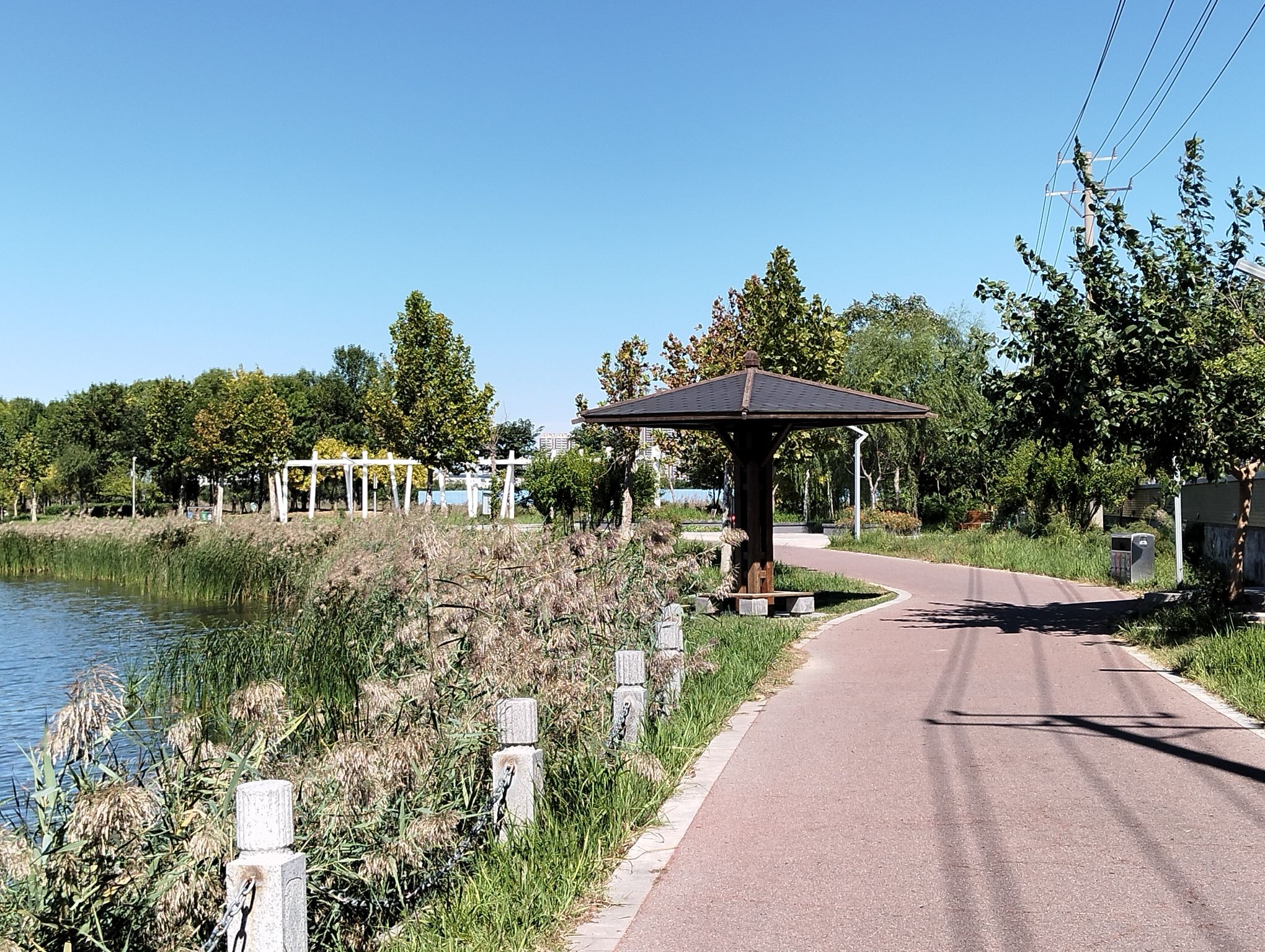 白鹭湖湿地公园