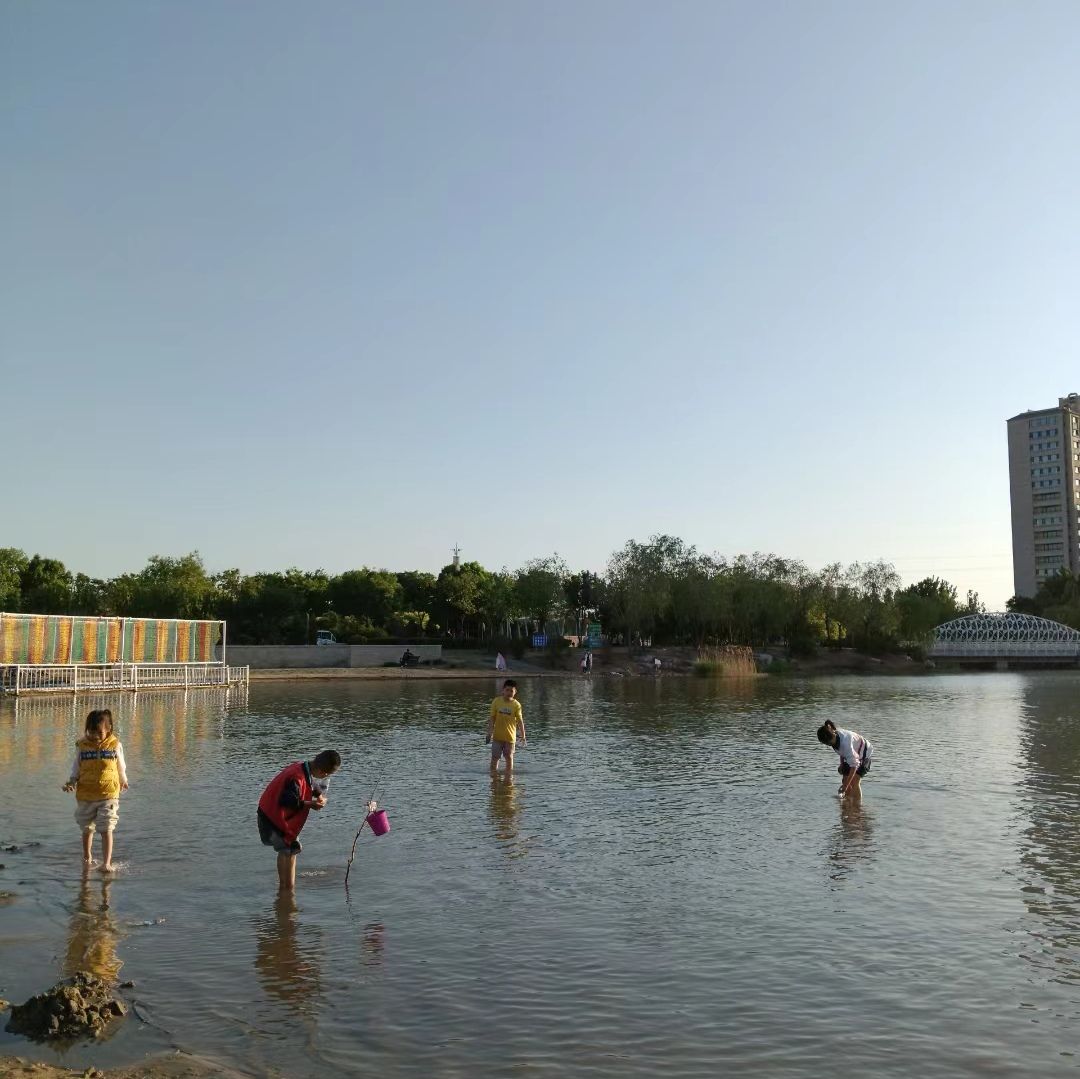 白鹭湖湿地公园旅行图片 1