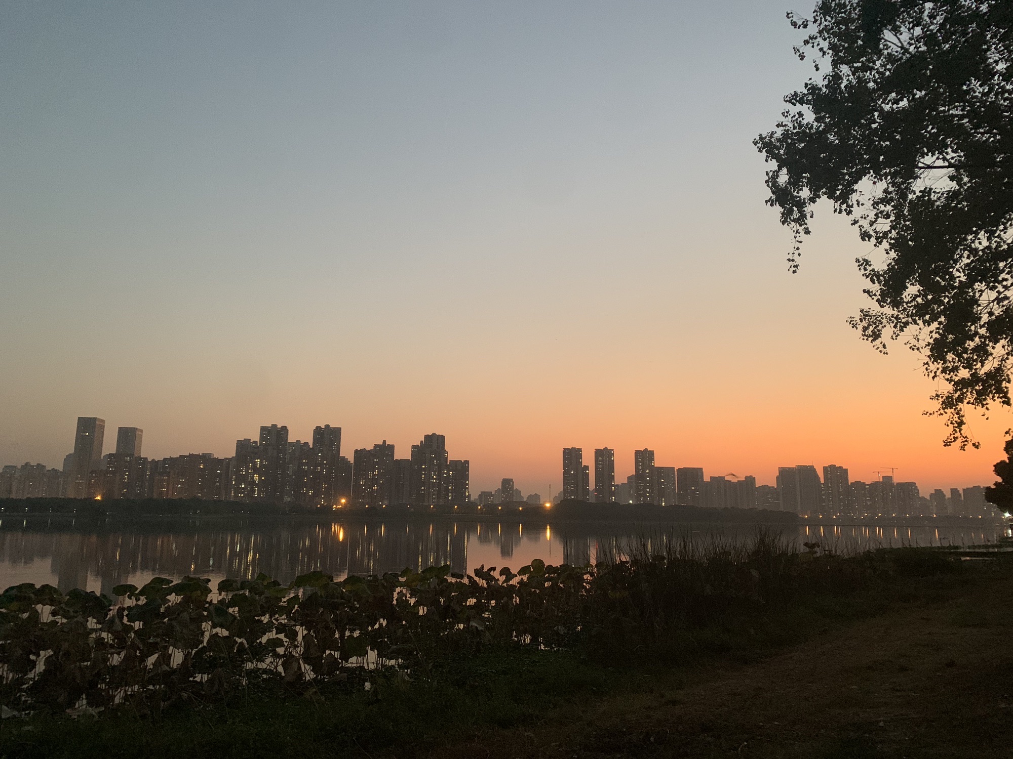 墨水湖边运动公园旅行图片 2