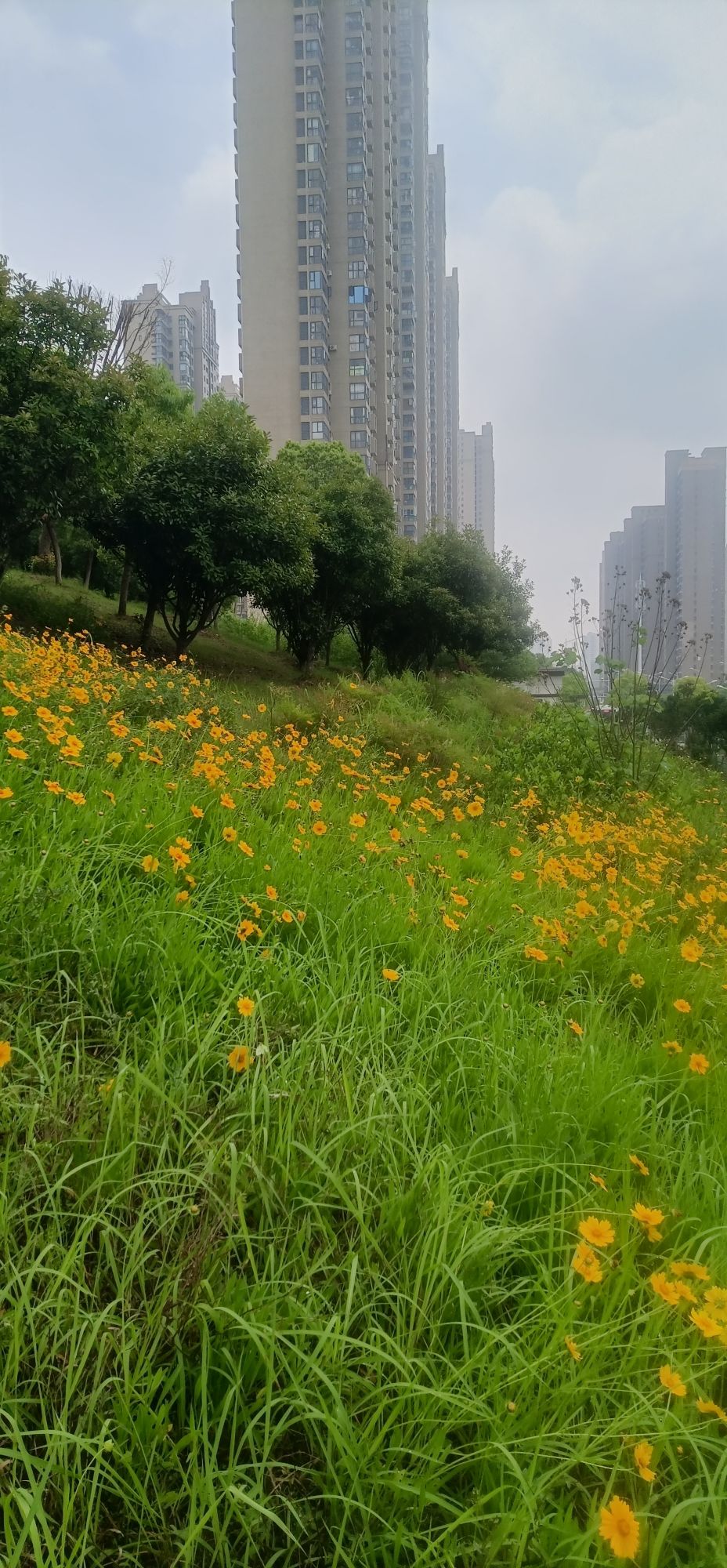 墨水湖边运动公园旅行图片 2