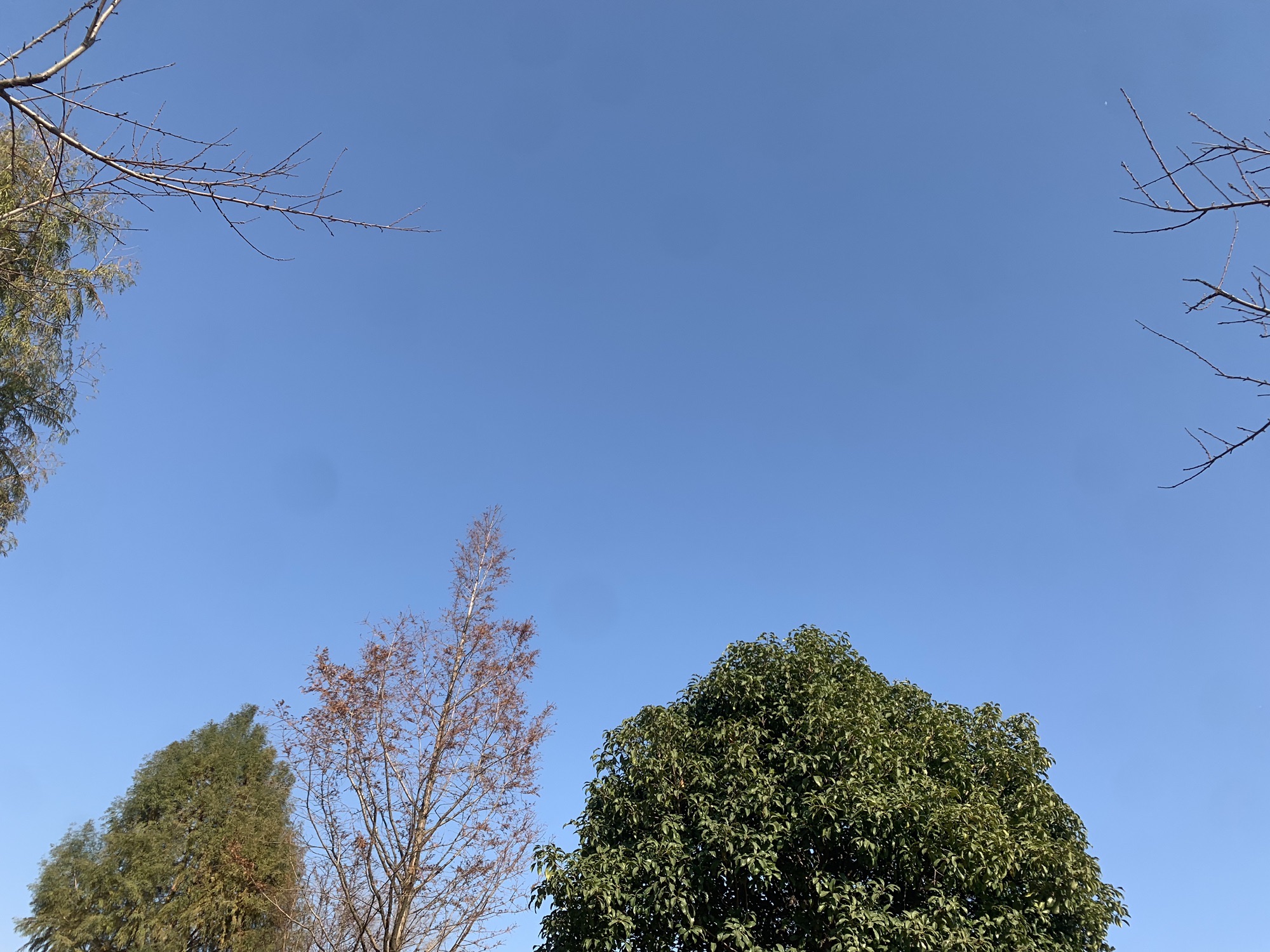 墨水湖边运动公园旅行图片 1