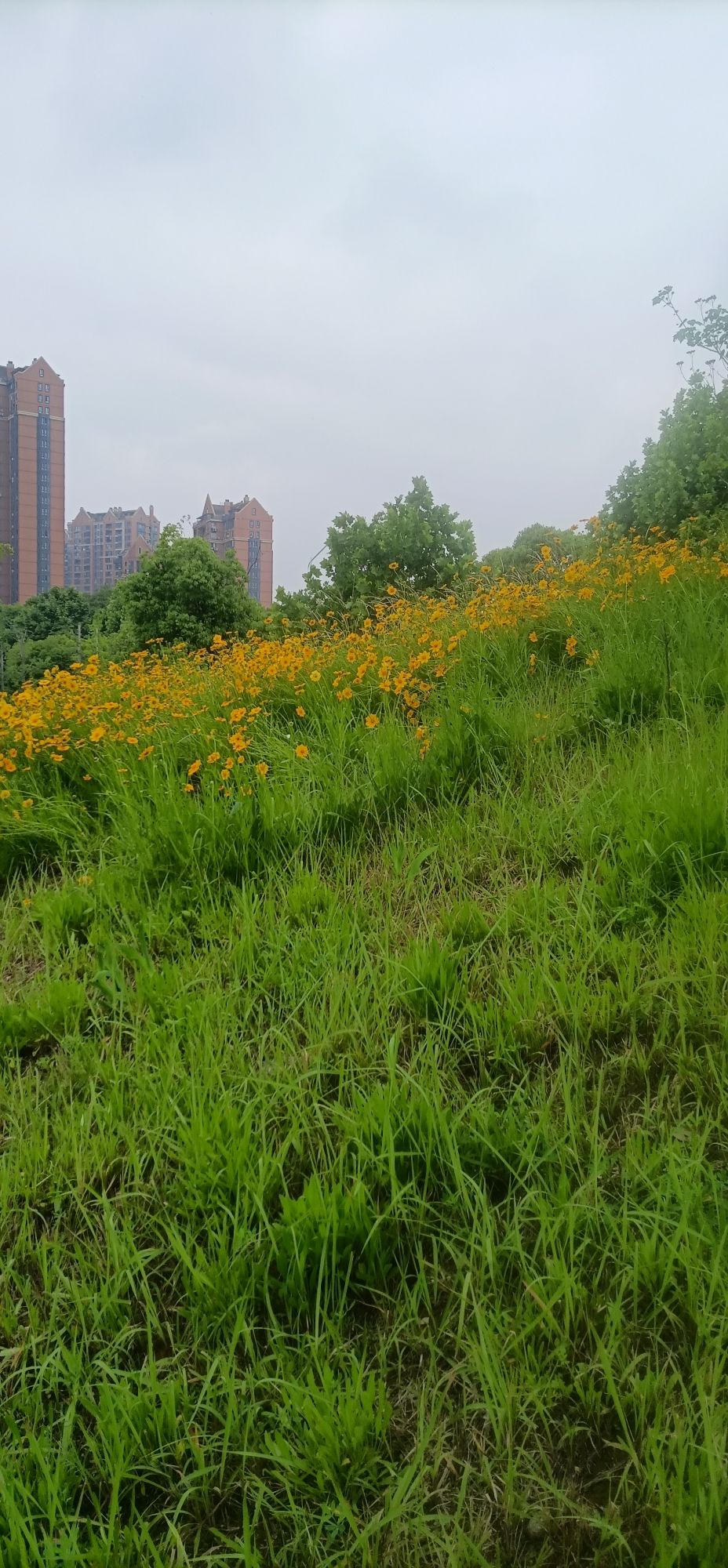 墨水湖边运动公园旅行图片 3