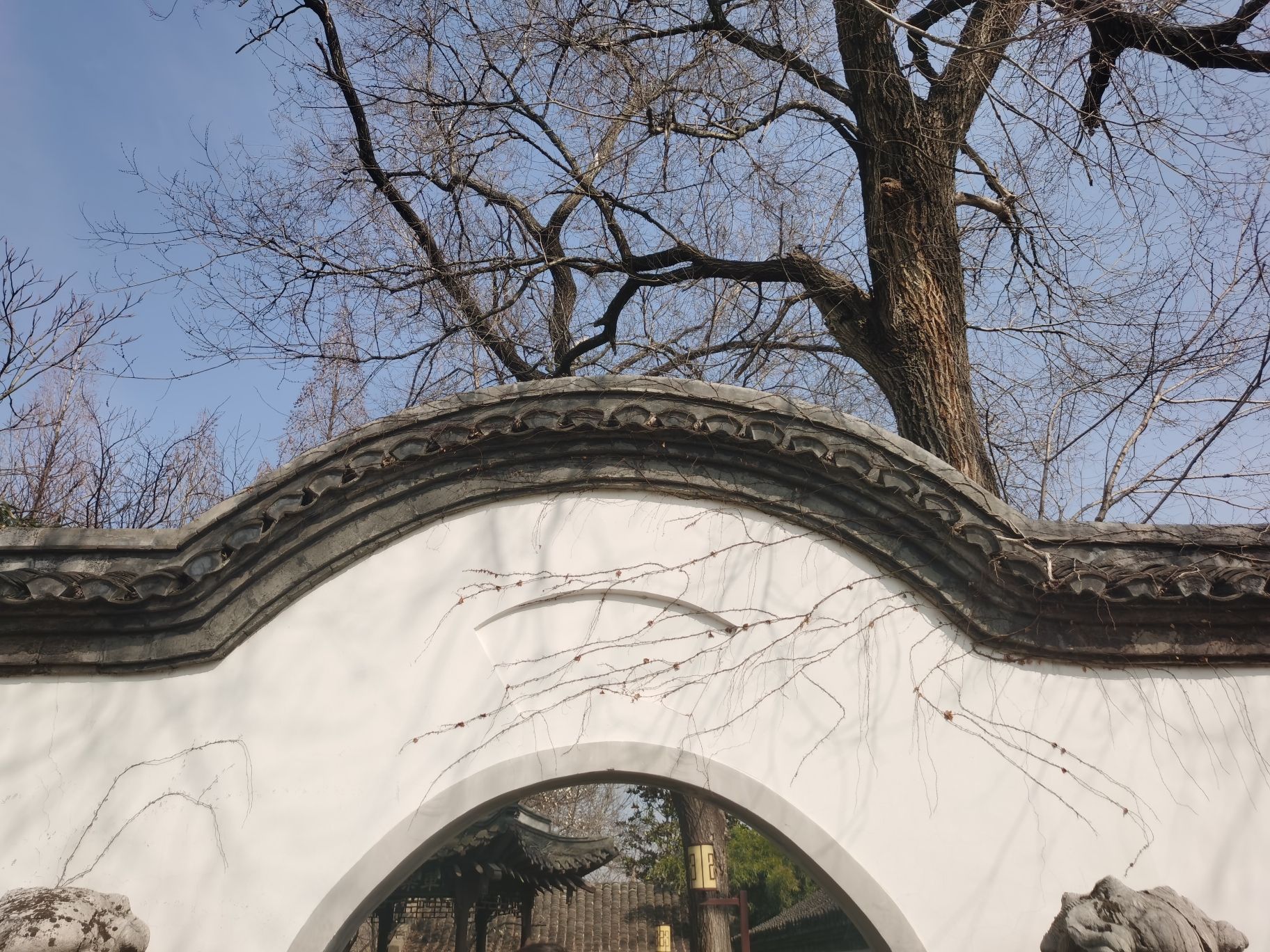 古文游台旅行图片 1