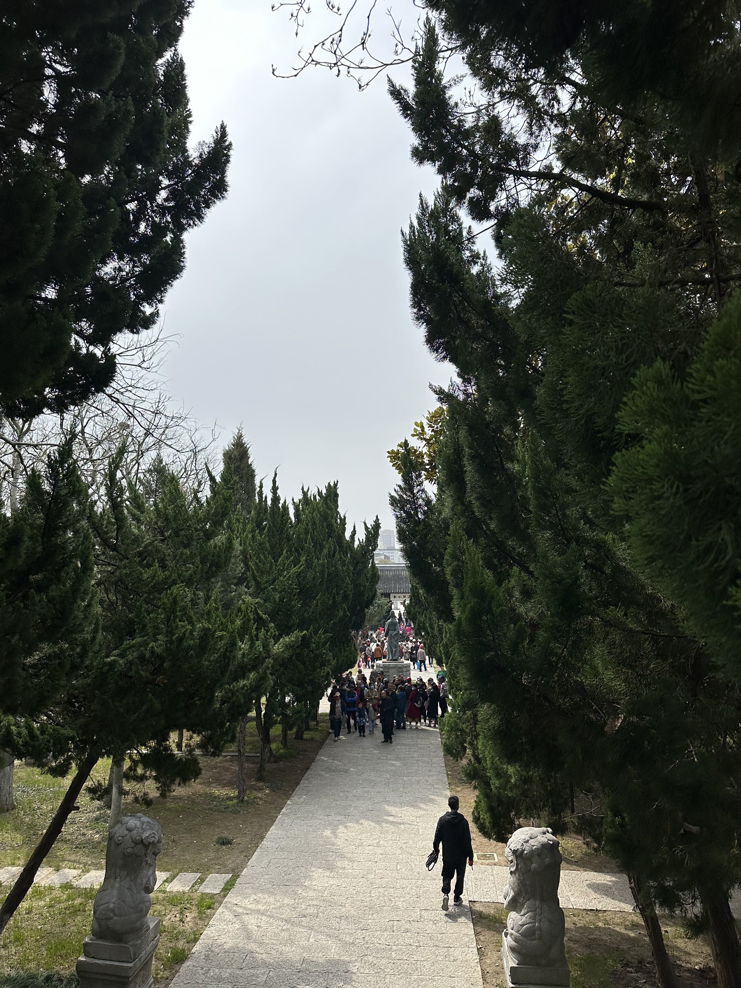 古文游台旅行图片 1