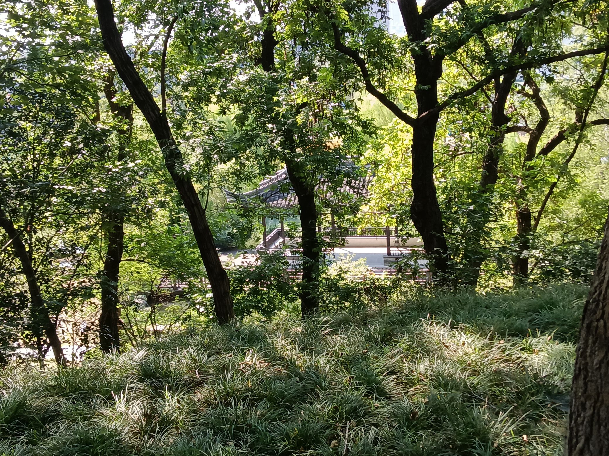 古文游台旅行图片 2