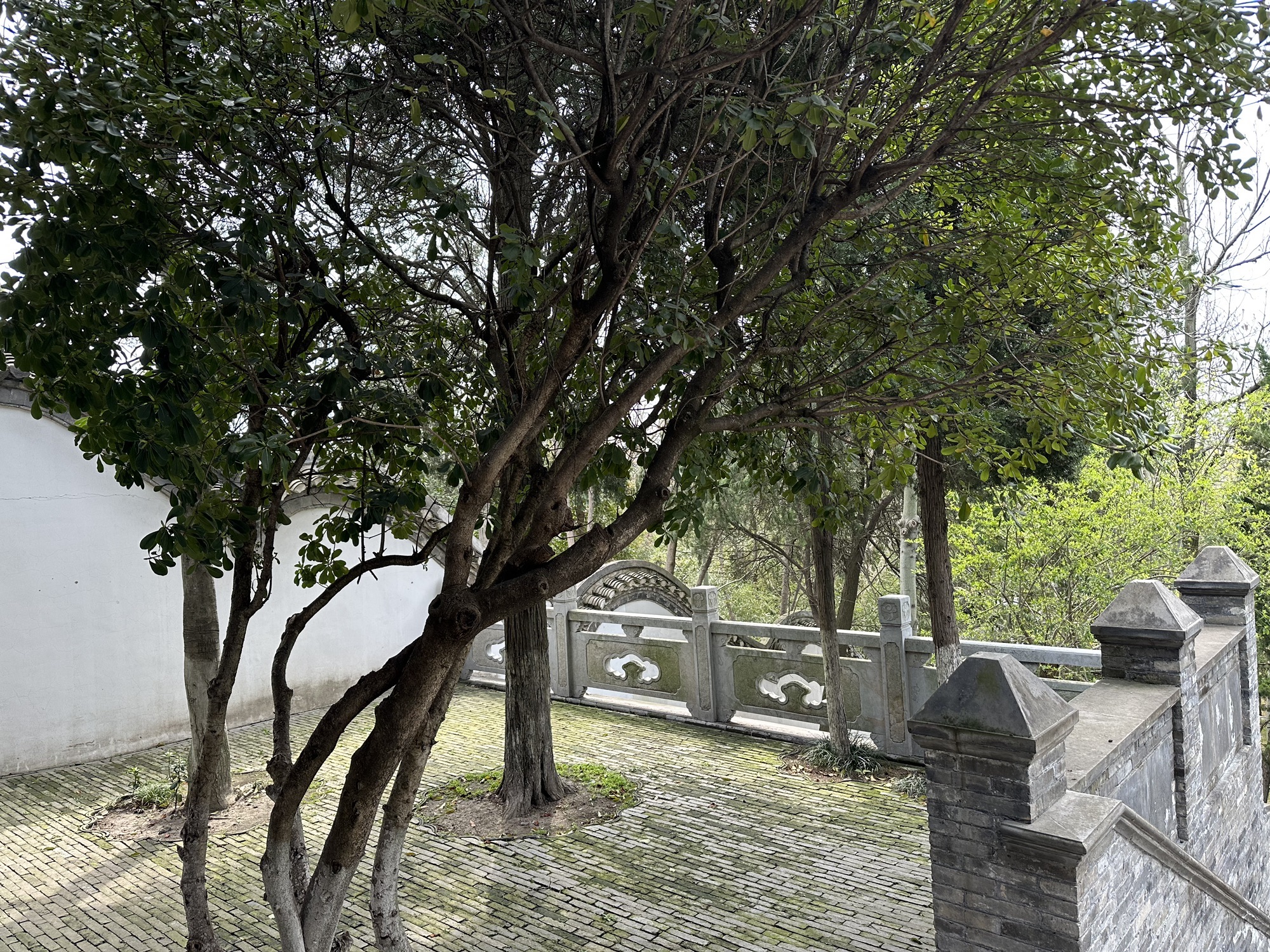 古文游台旅行图片 2