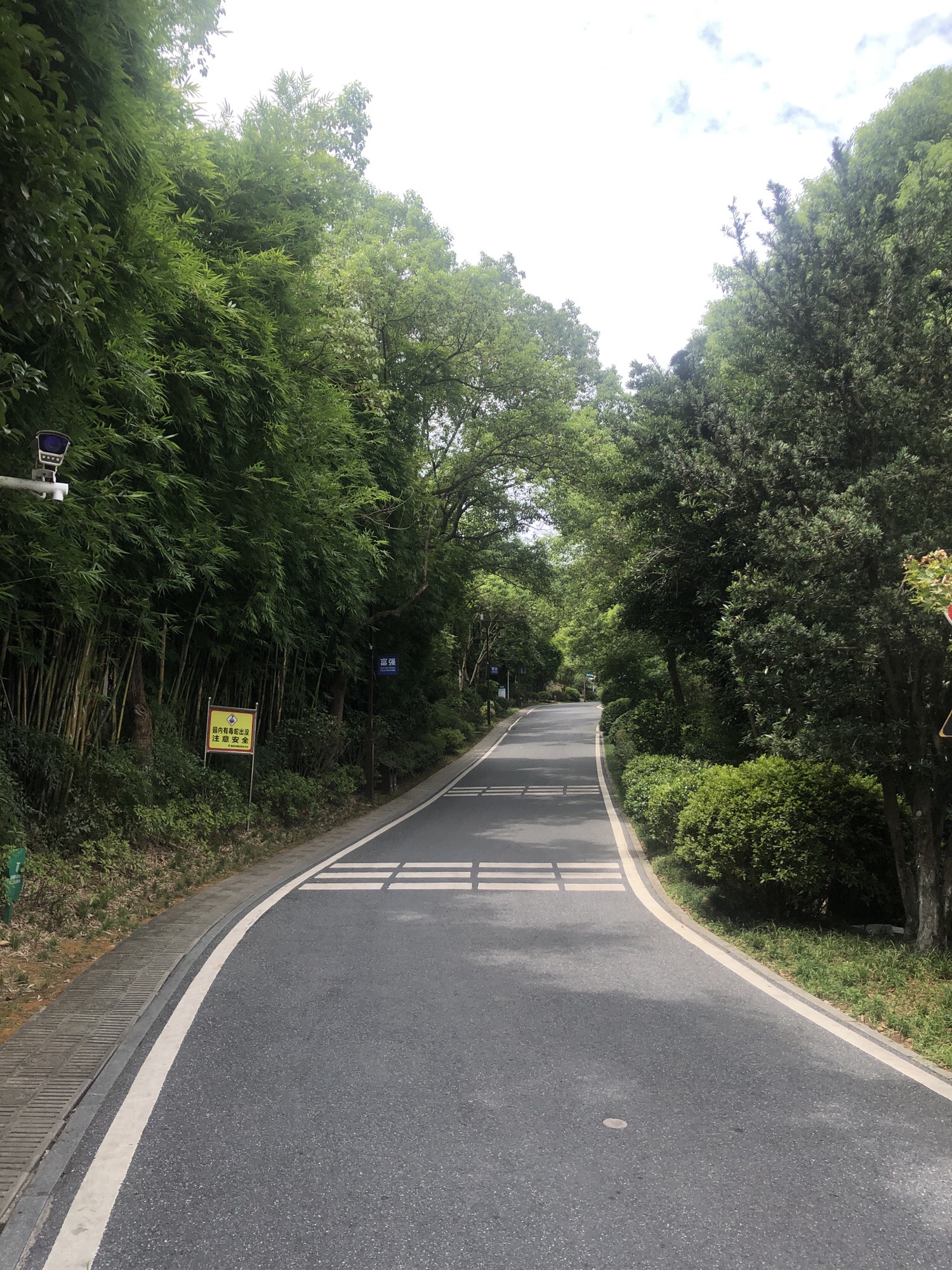 仙岳山森林公园旅行图片 2