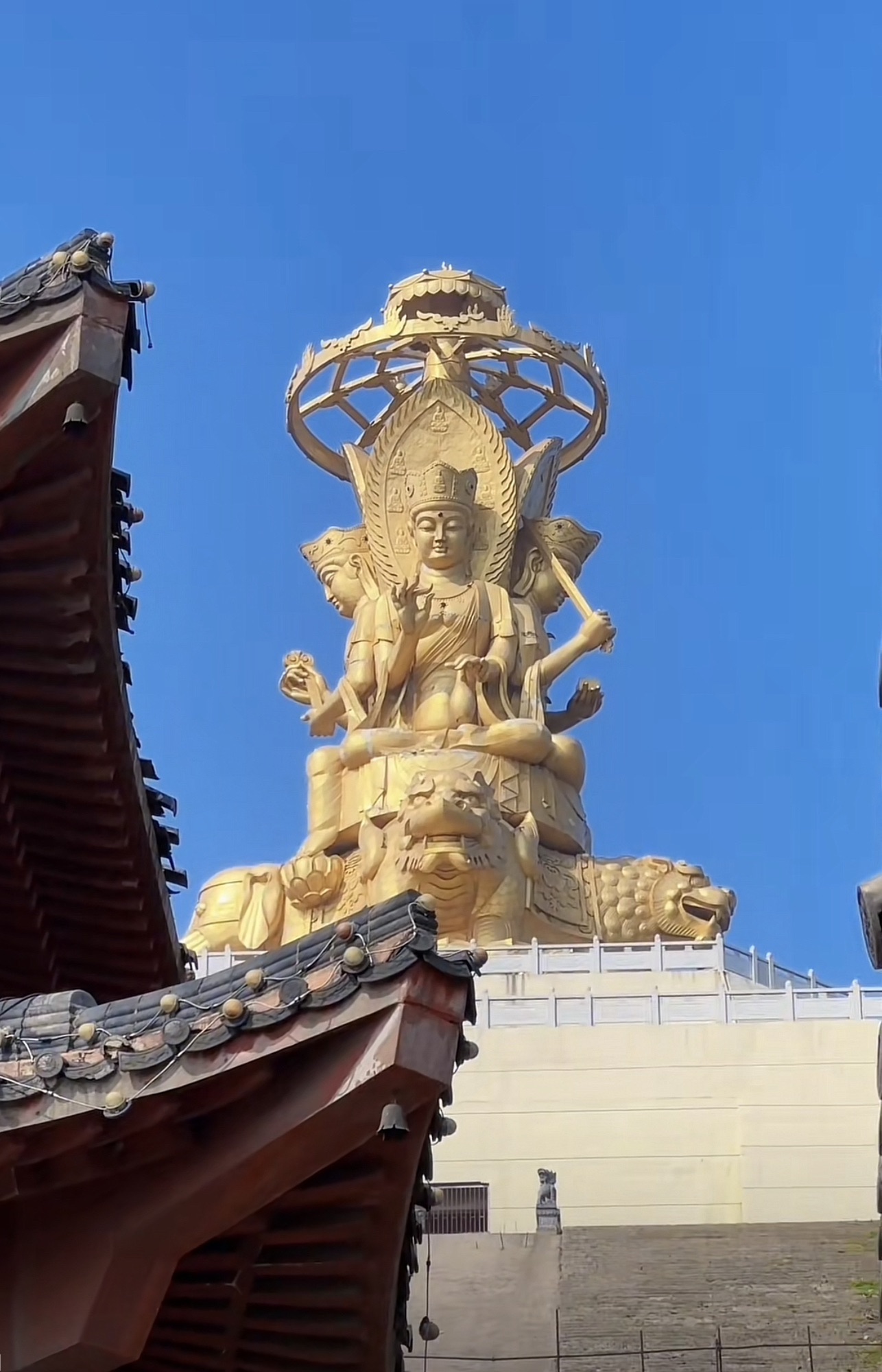仙岳山森林公园旅行图片 1