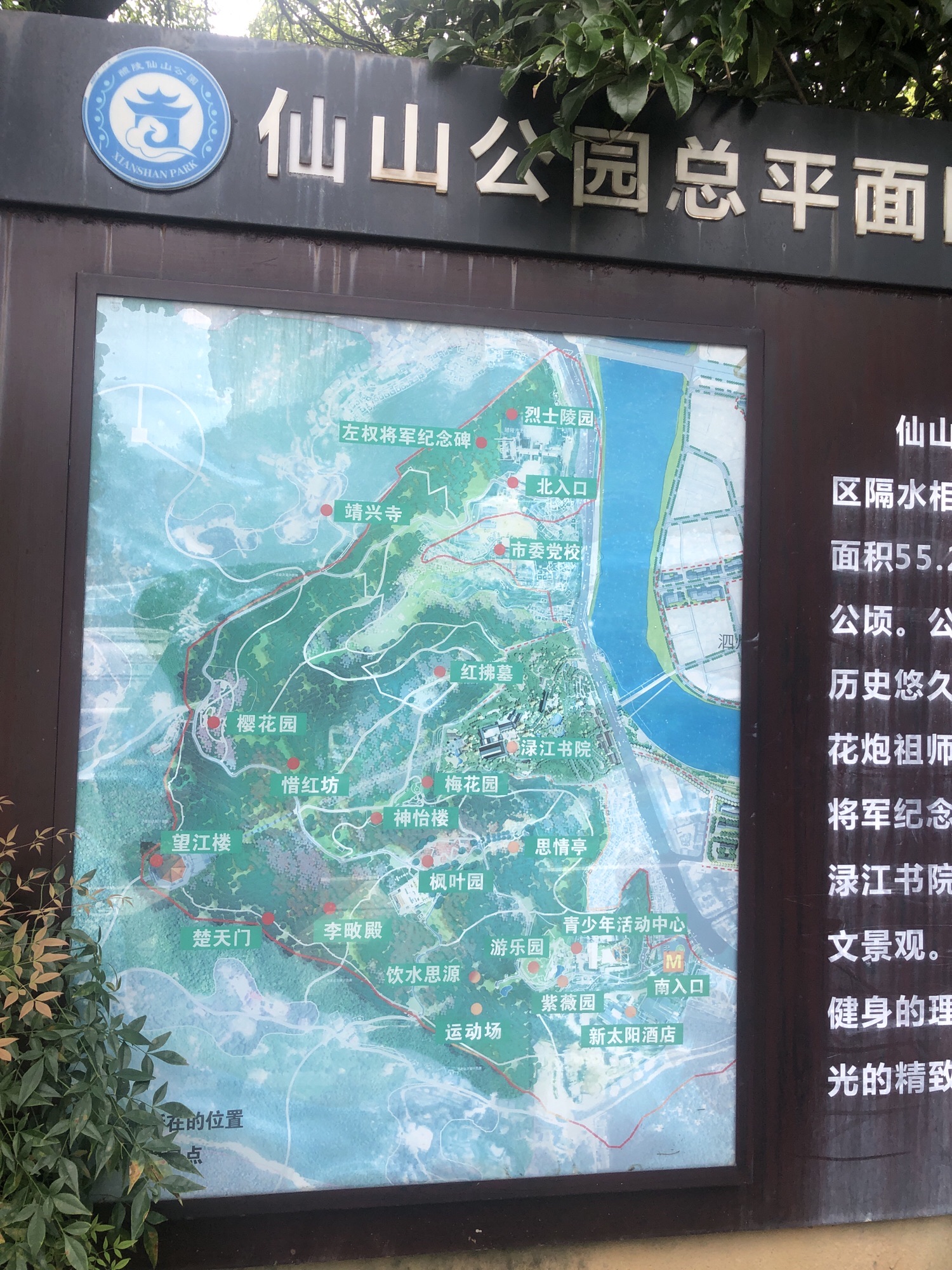 仙岳山森林公园旅行图片 3