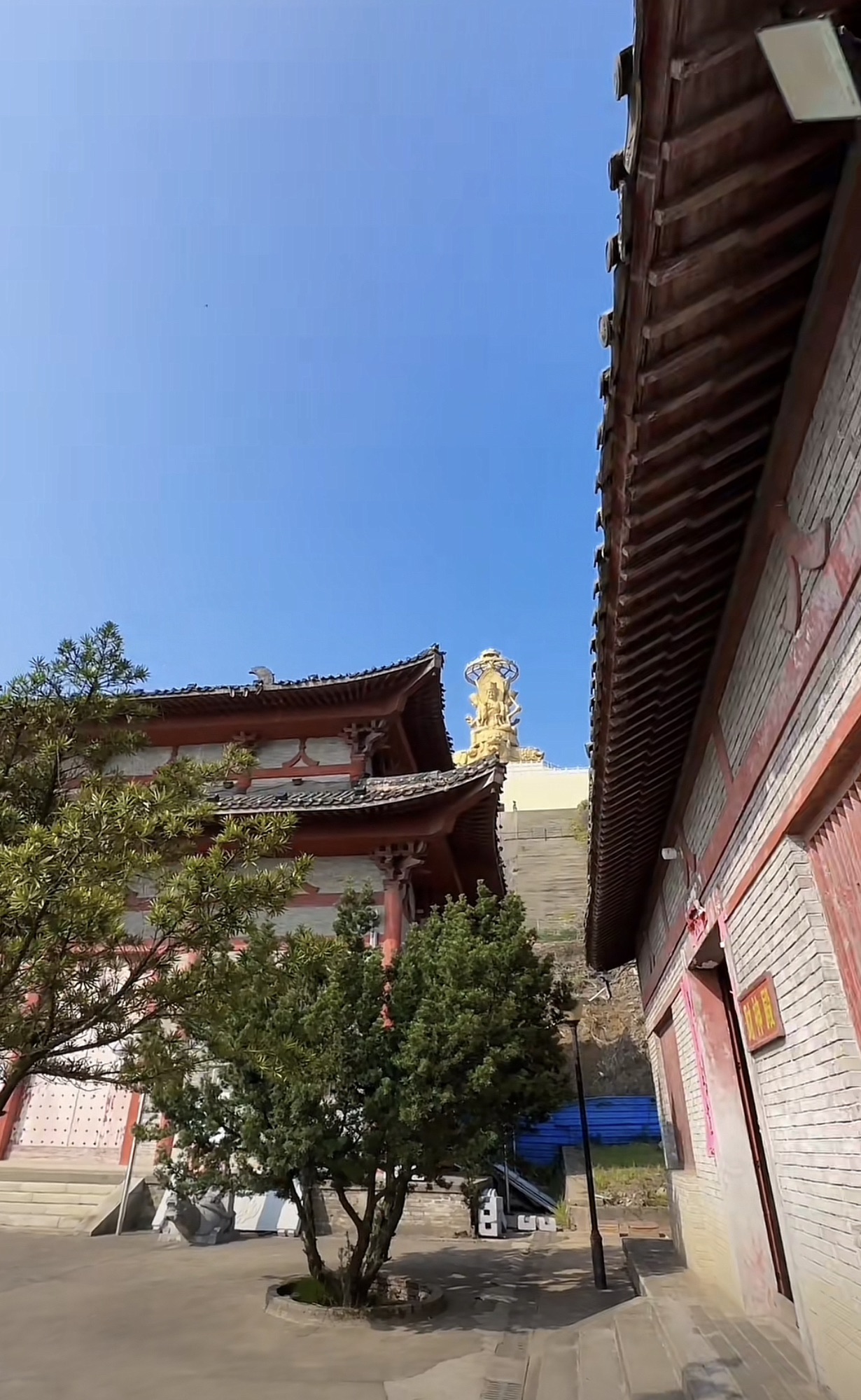 仙岳山森林公园旅行图片 2
