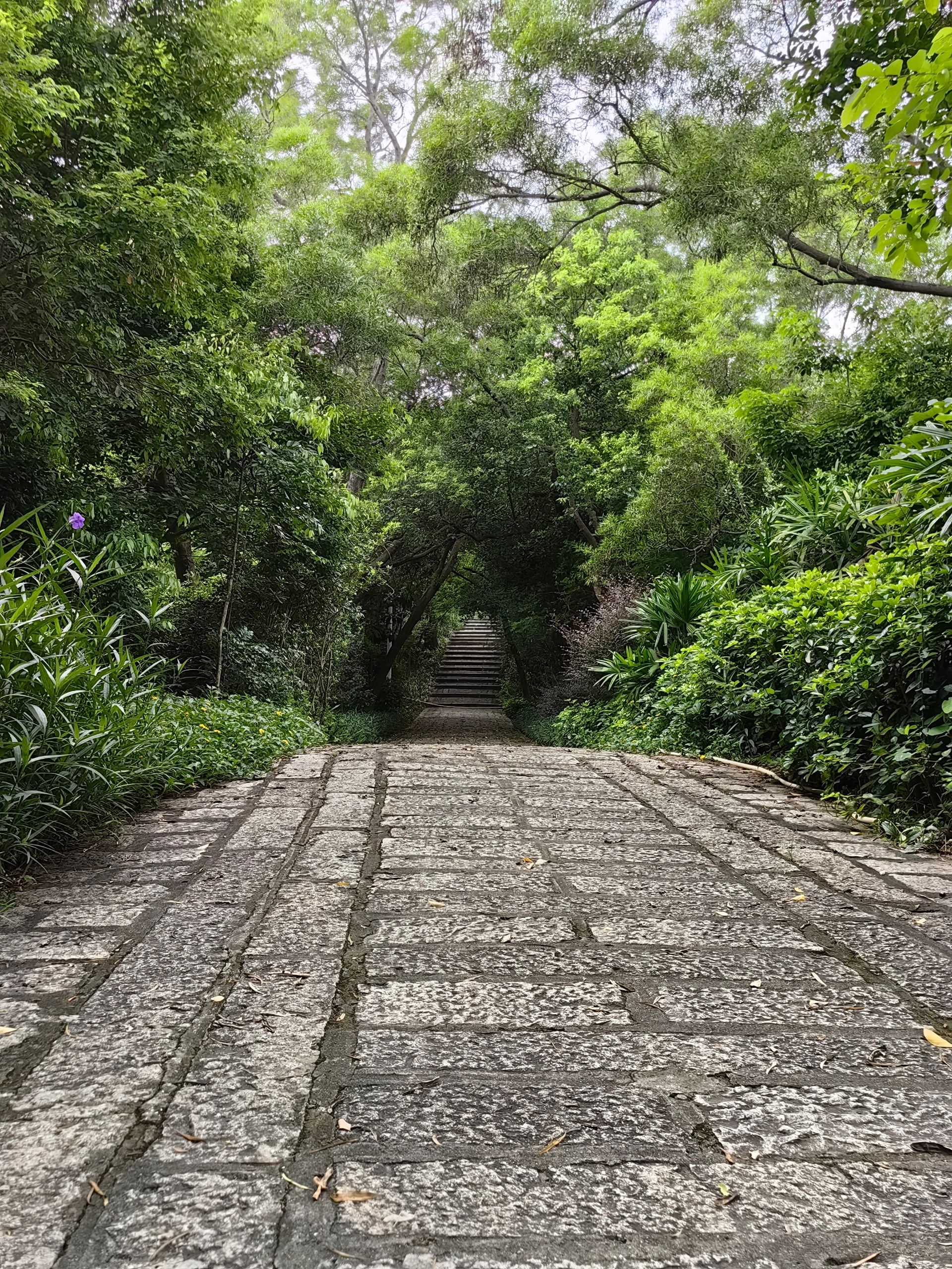 仙岳山森林公园旅行图片 1