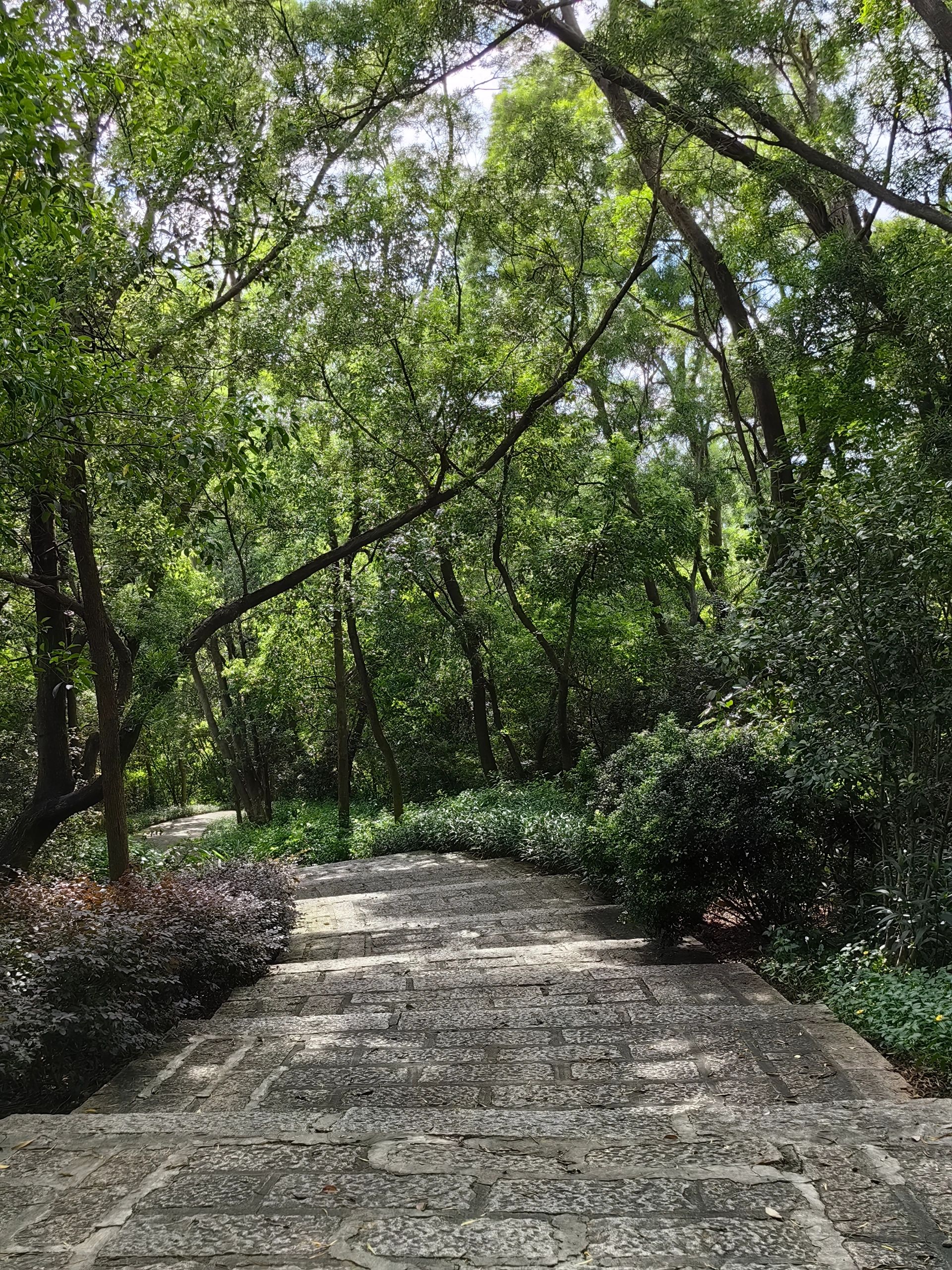 仙岳山森林公园旅行图片 3