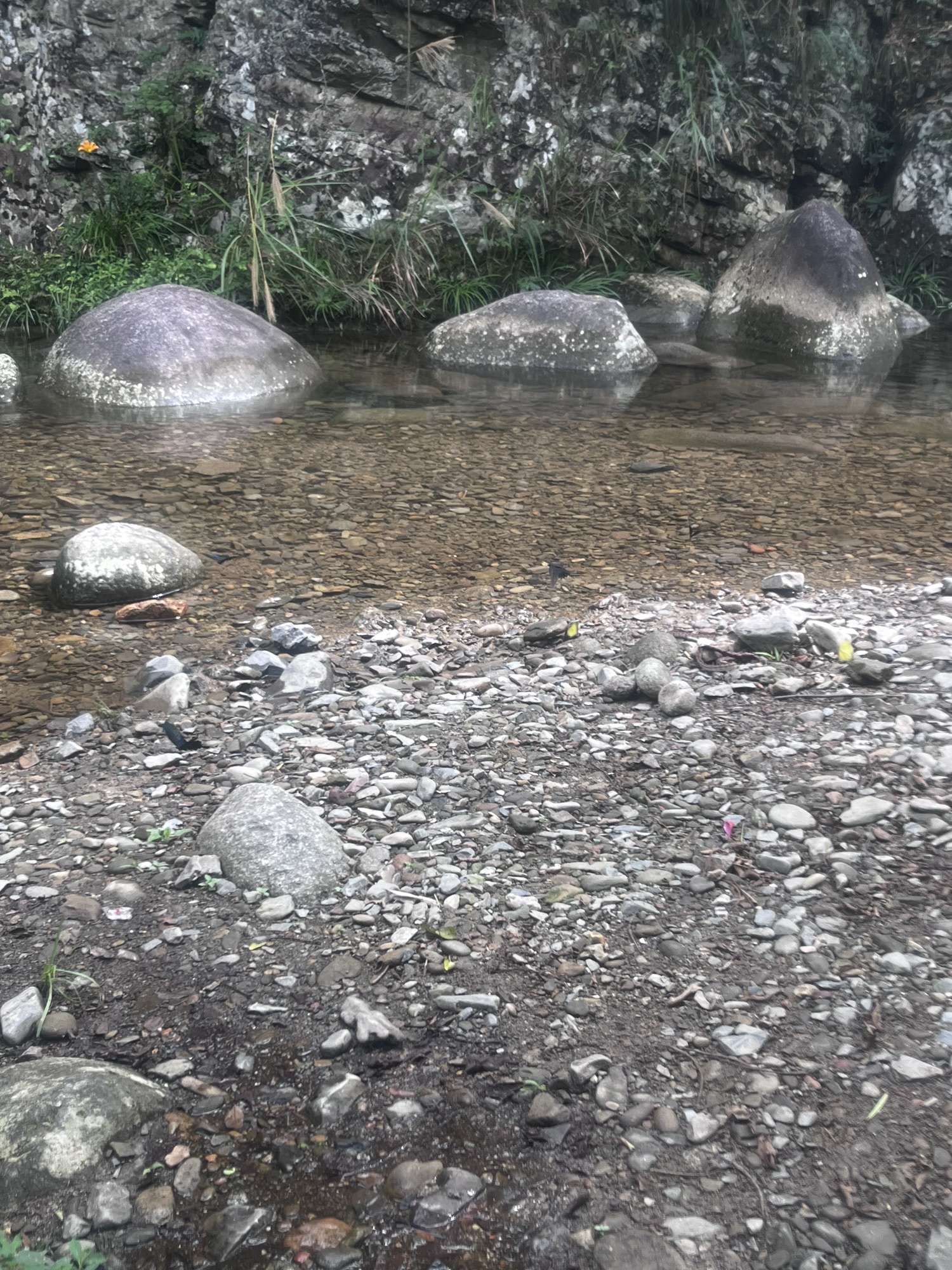 西溪磐石大峡谷旅行图片 1