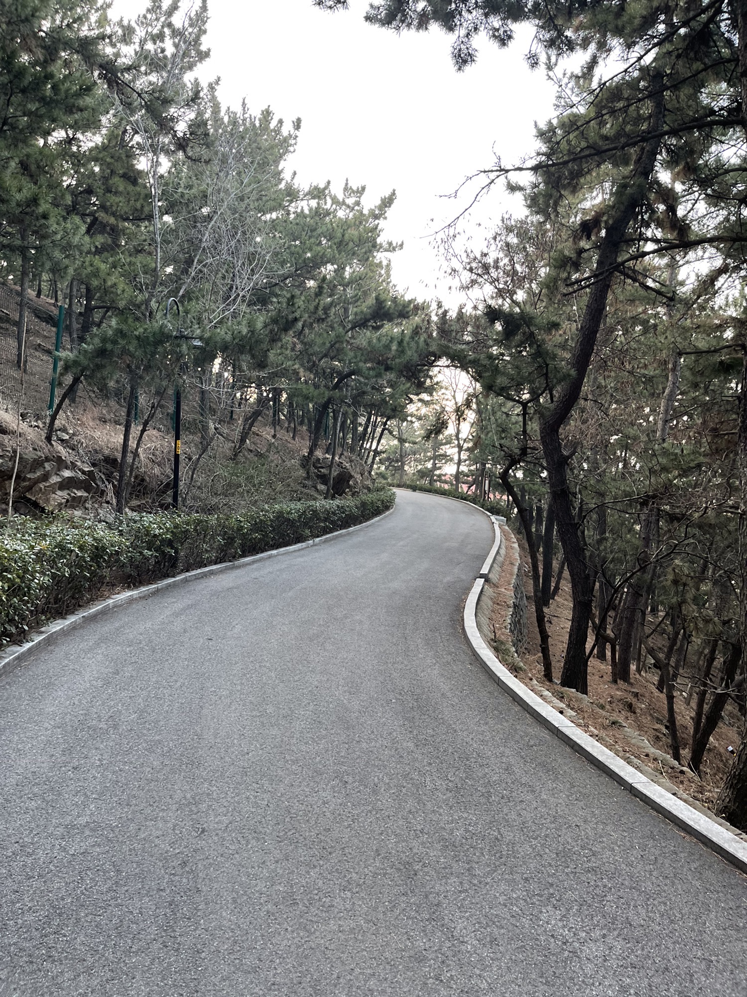 古陌岭健康主题公园旅行图片 2