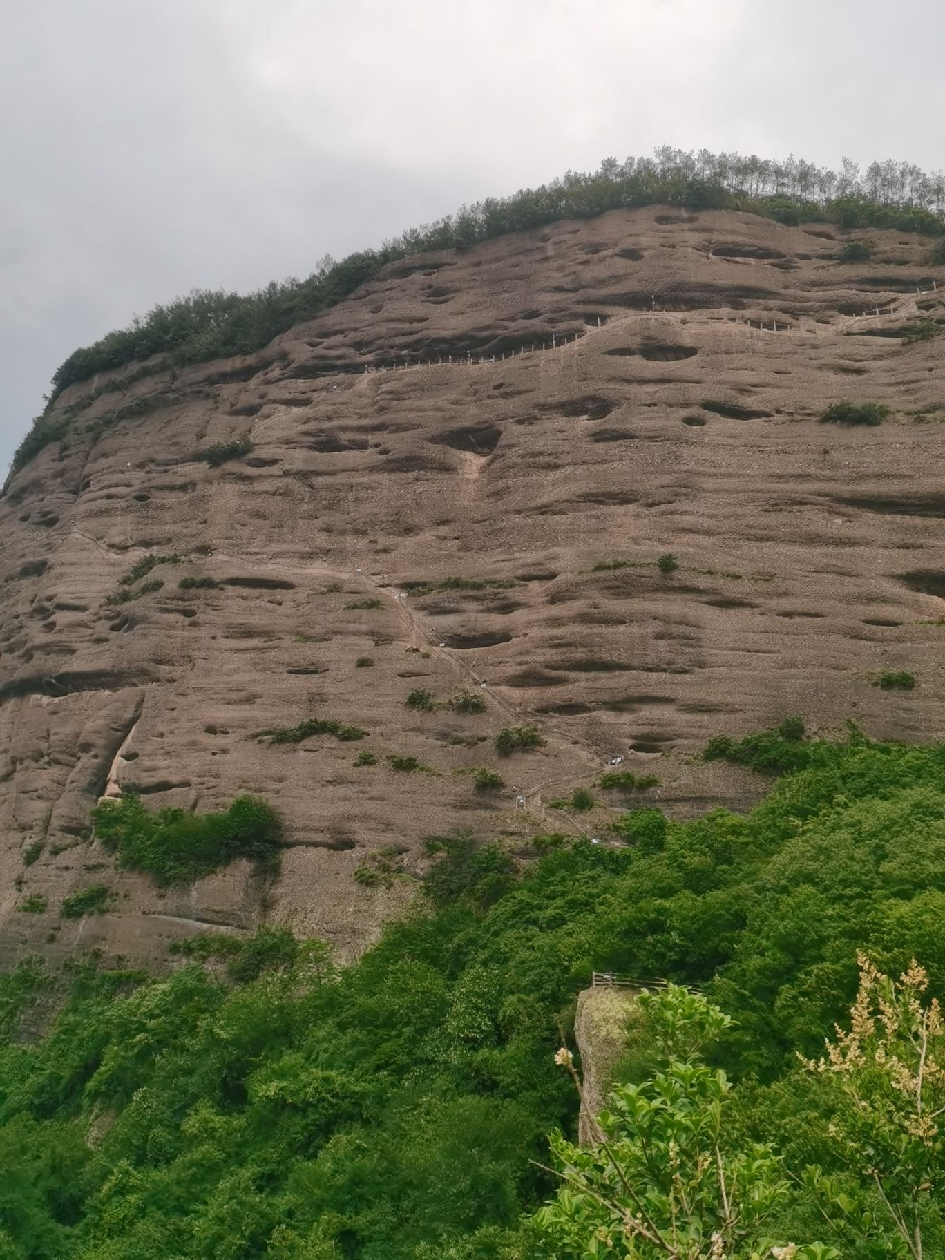 抱龙山观景台