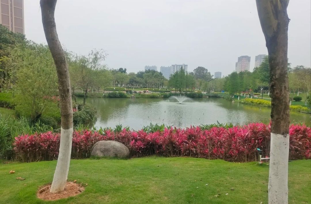鼓锣公园旅行图片 3