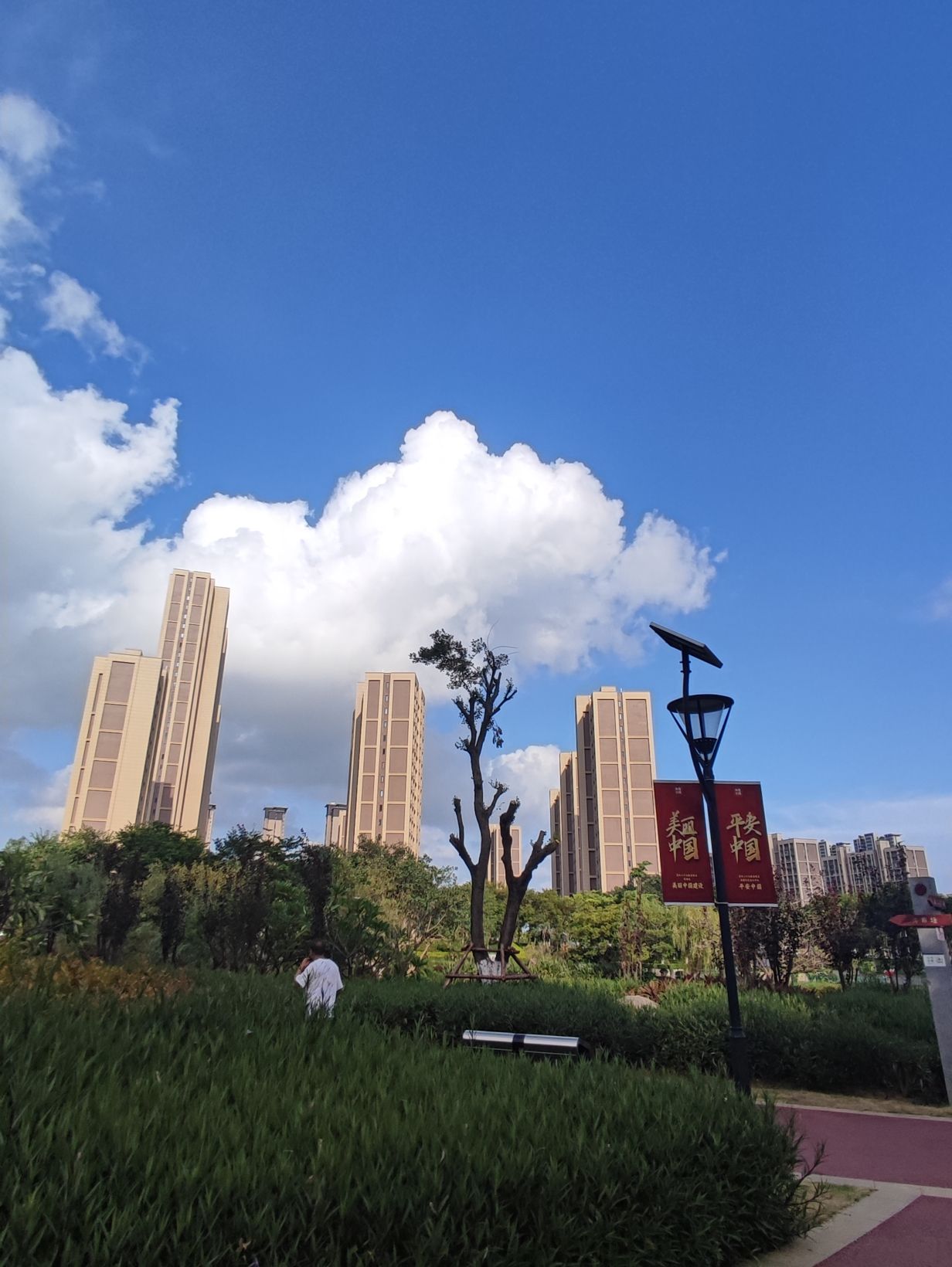 鼓锣公园旅行图片 1
