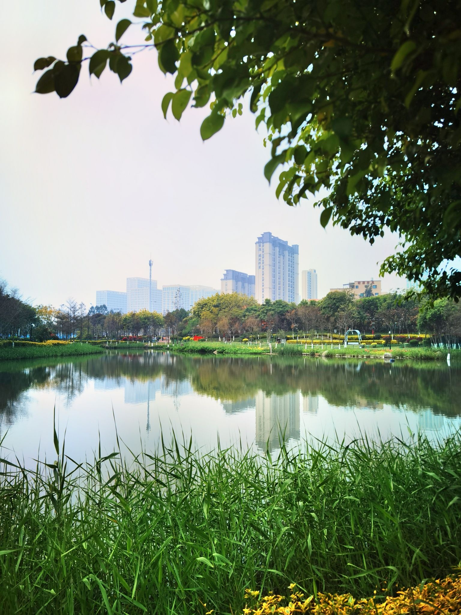 鼓锣公园旅行图片 2