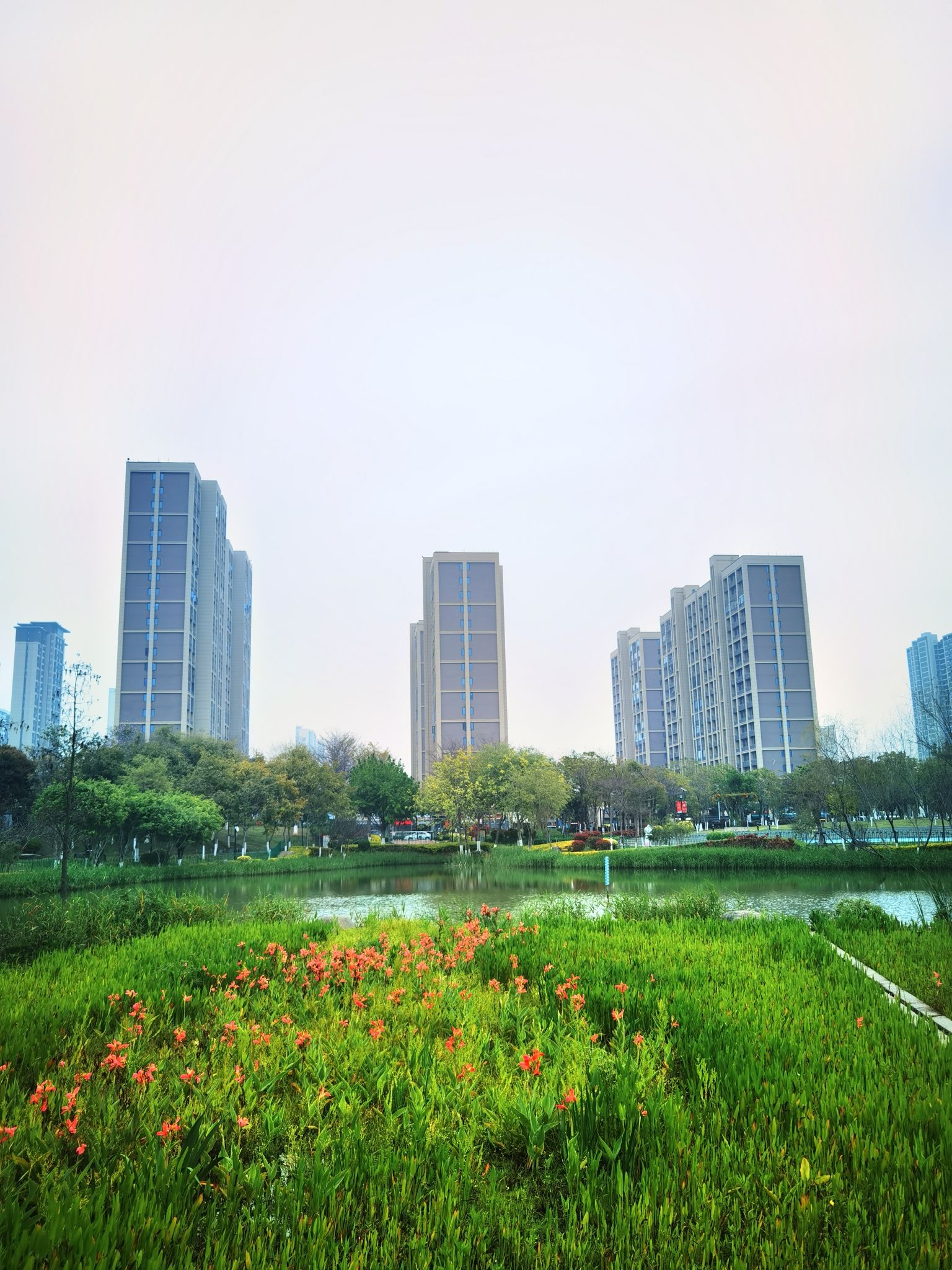 鼓锣公园旅行图片 3