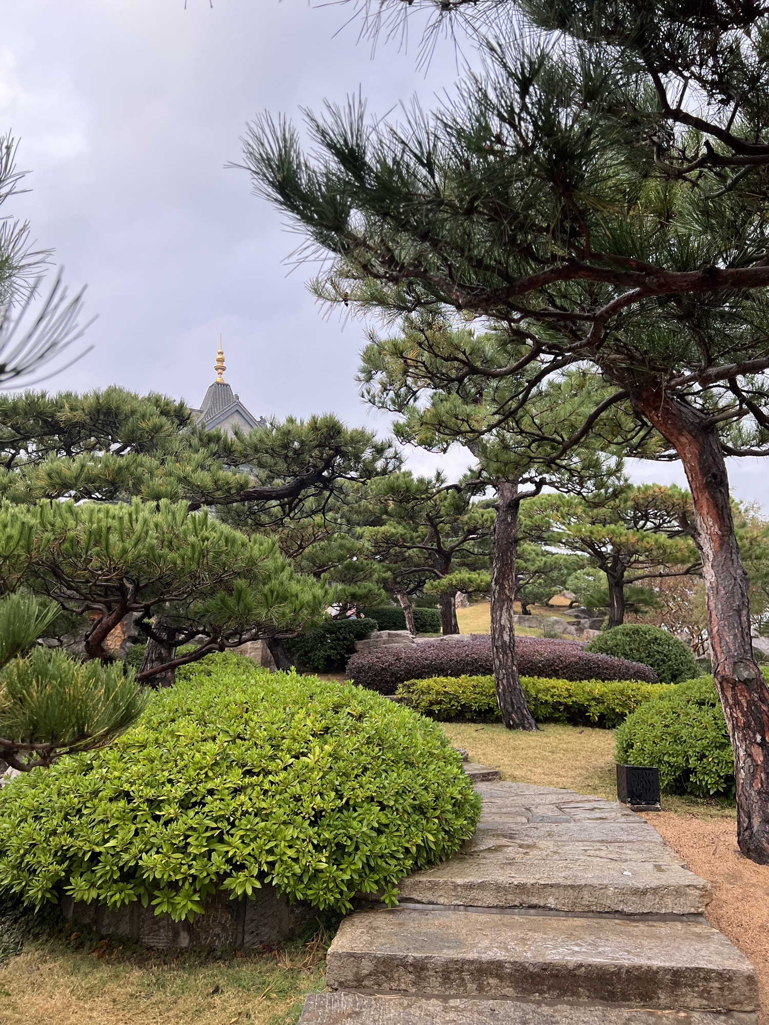 琅琊园旅行图片 2