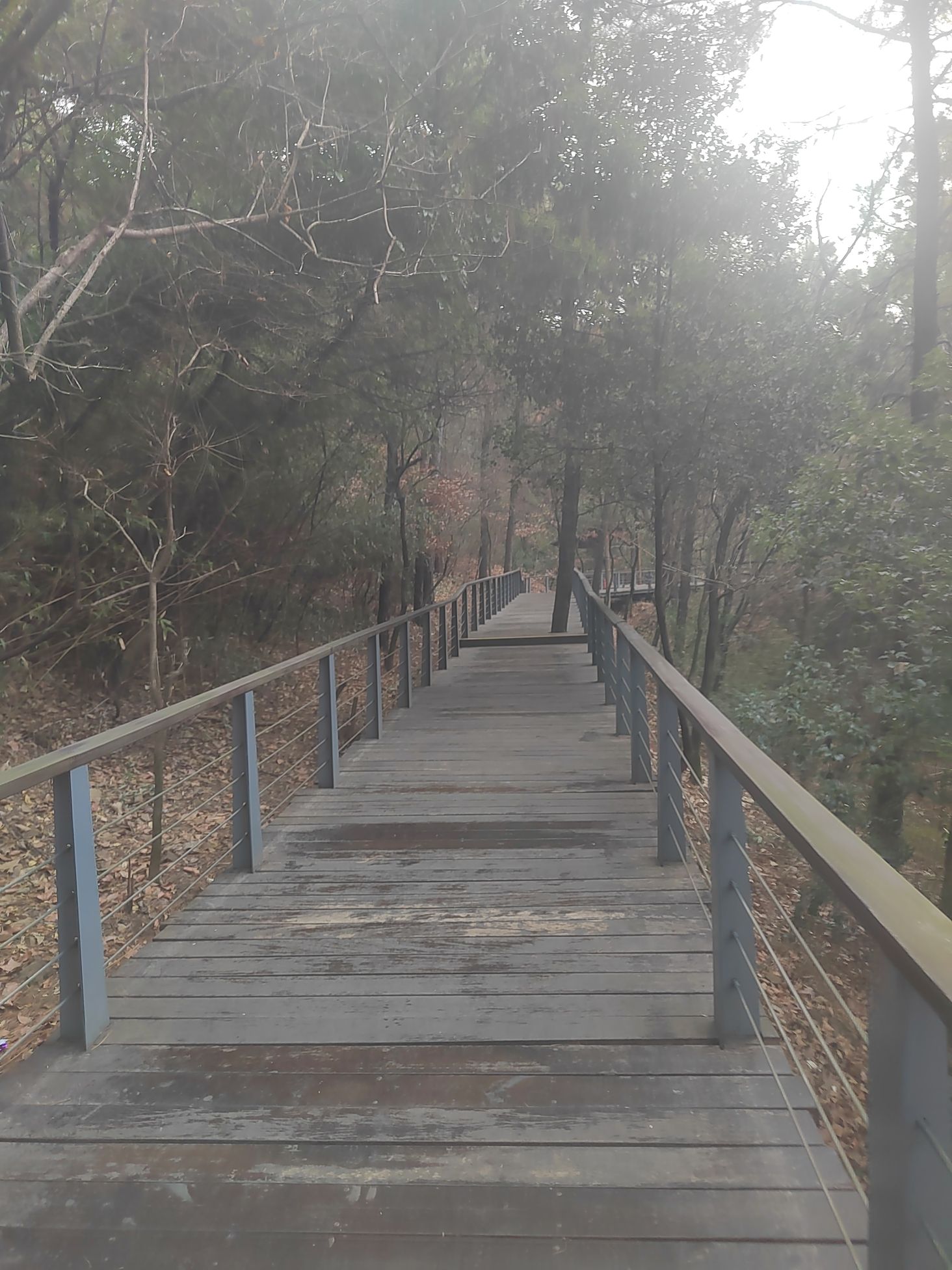 舜过山森林公园旅行图片 2