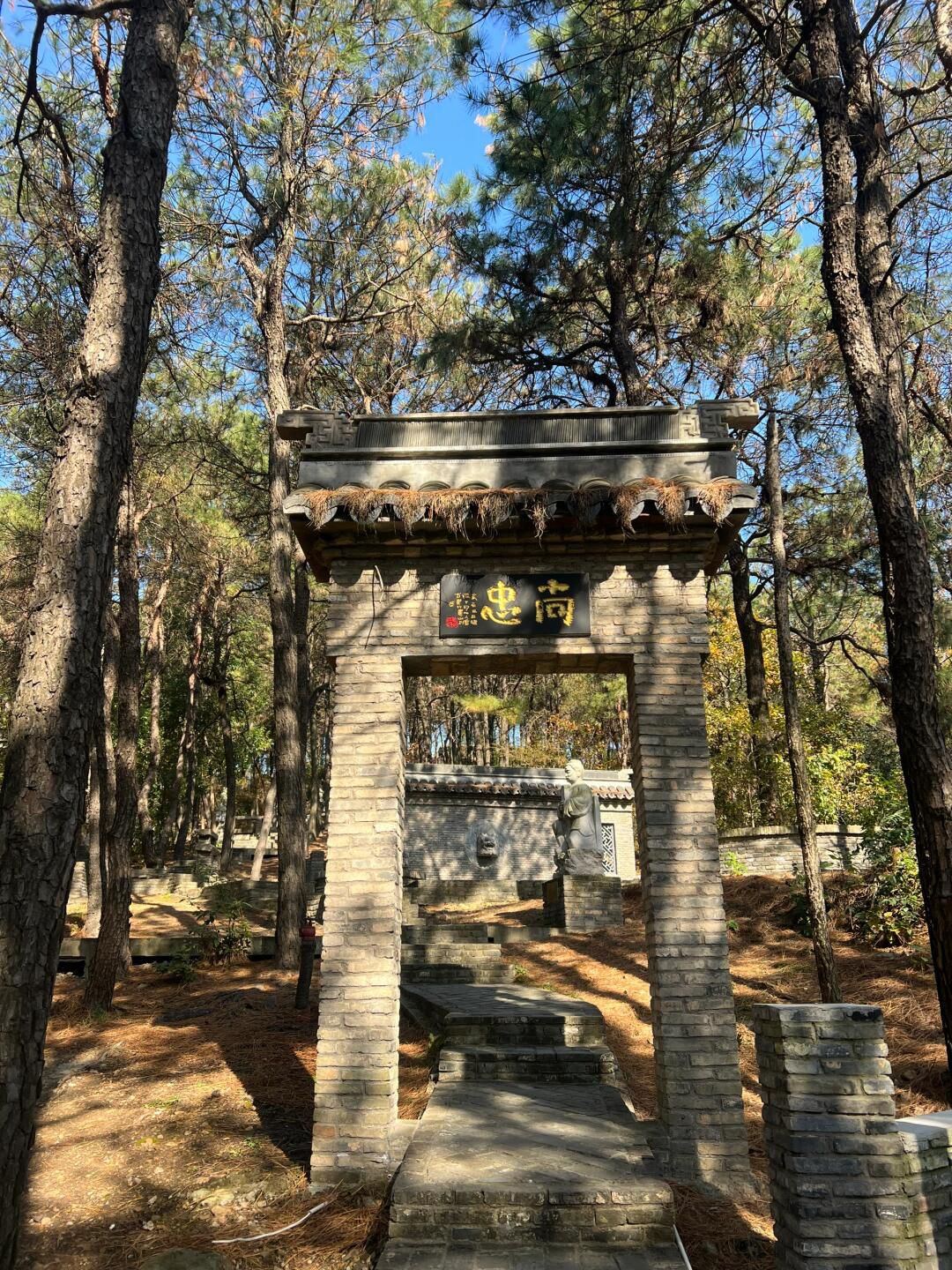 舜过山森林公园旅行图片 2