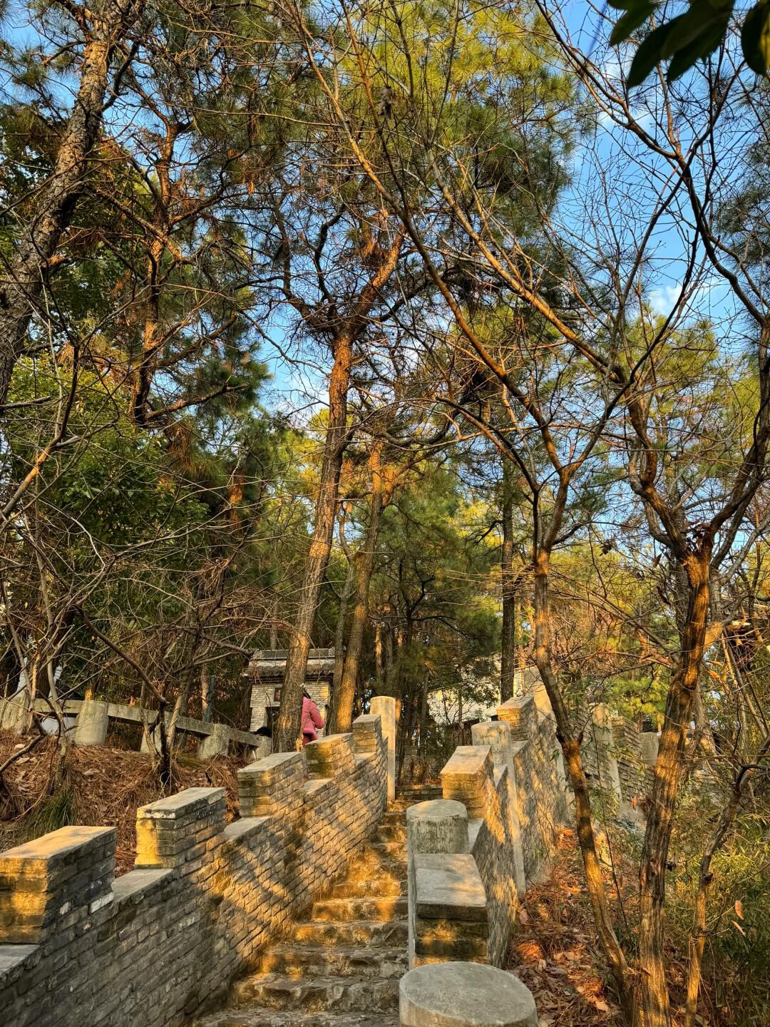 舜过山森林公园旅行图片 2