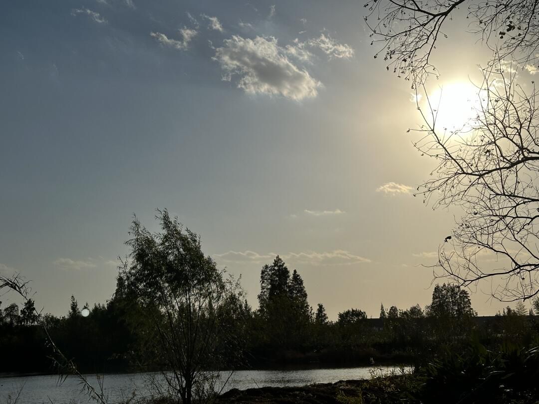 舜过山森林公园旅行图片 1