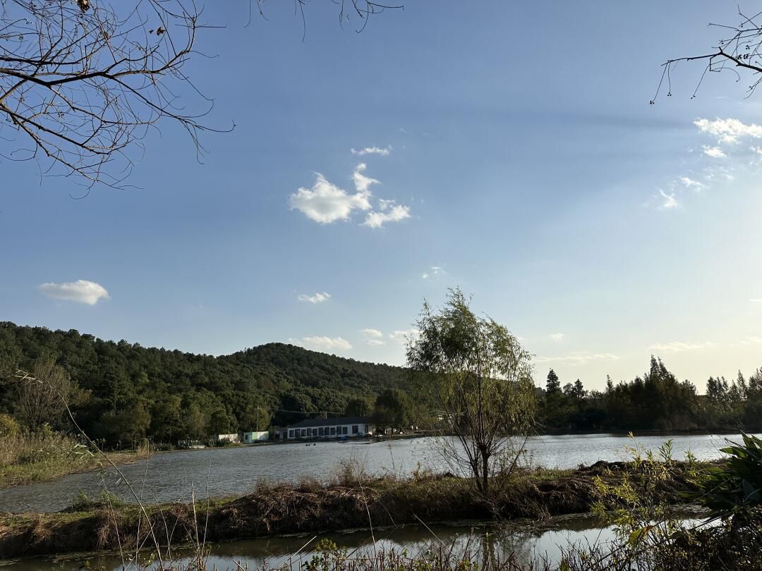 舜过山森林公园旅行图片 1