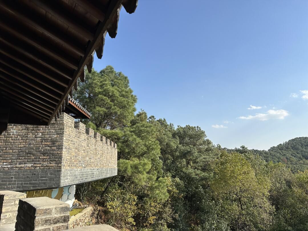 舜过山森林公园旅行图片 1