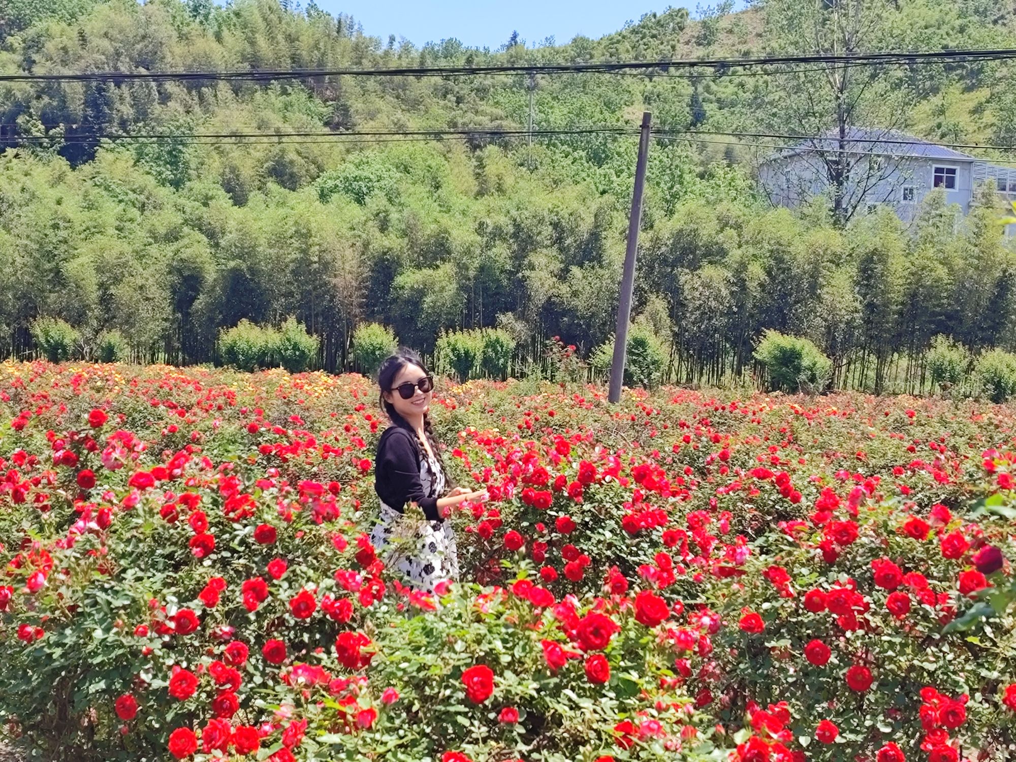 云梯花溪谷旅行图片 2