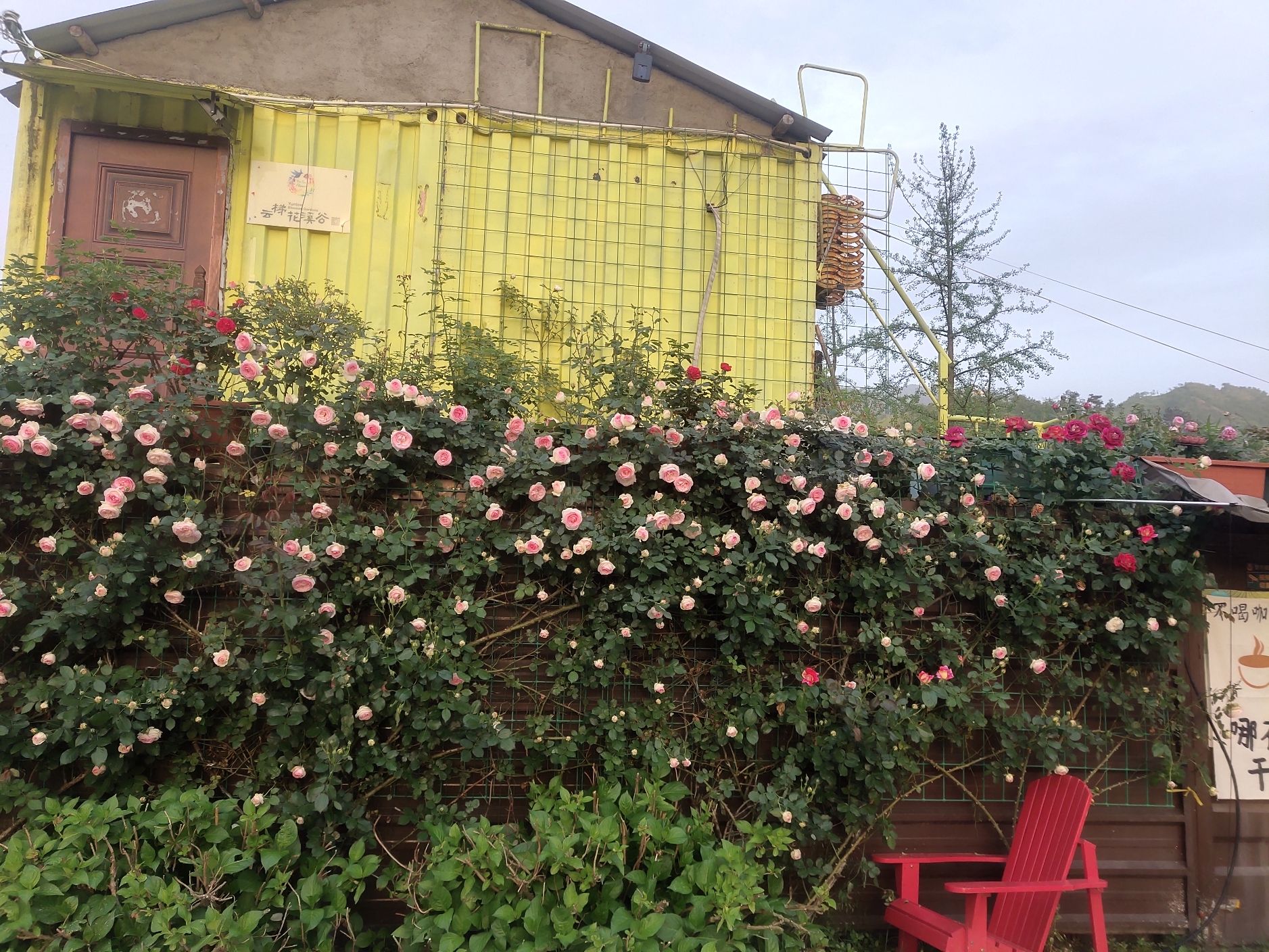 云梯花溪谷旅行图片 1