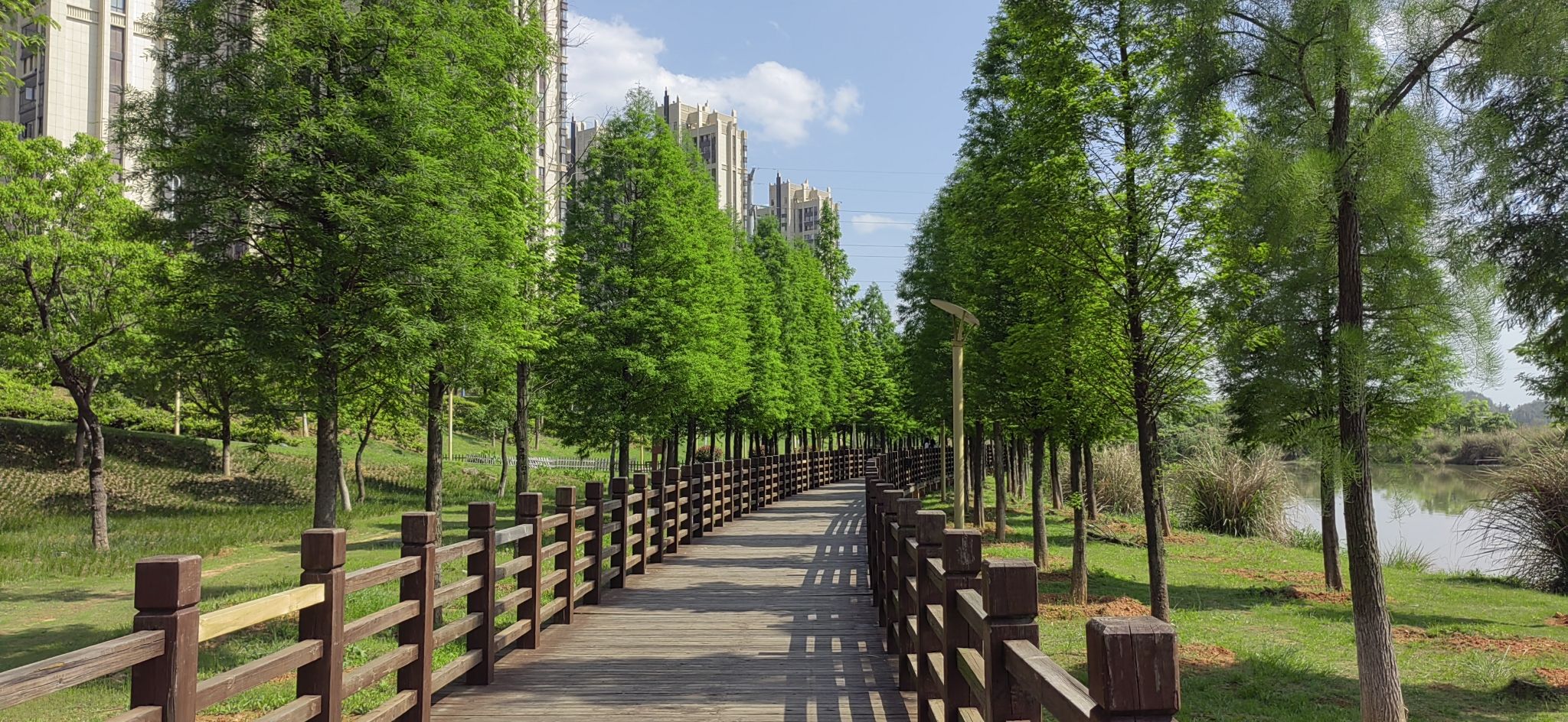 潋江国家湿地公园旅行图片