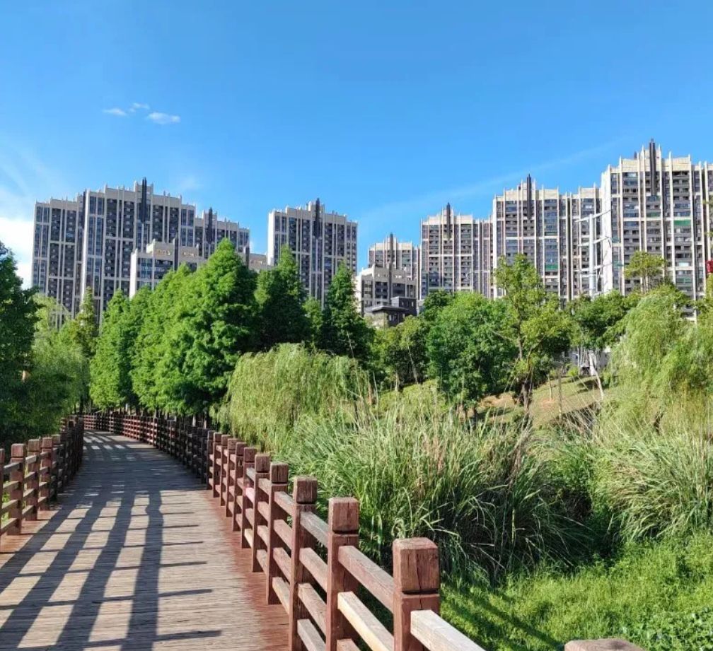 潋江国家湿地公园旅行图片 3
