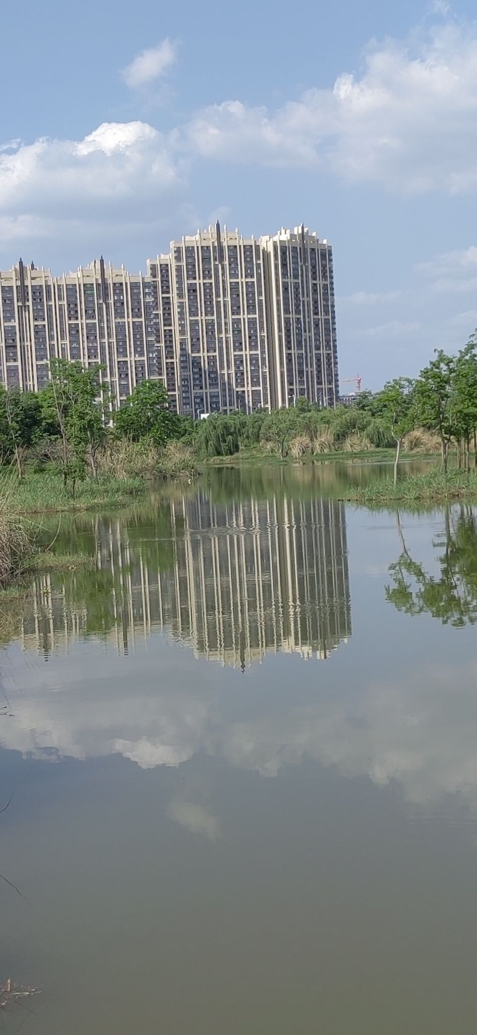 潋江国家湿地公园旅行图片 3