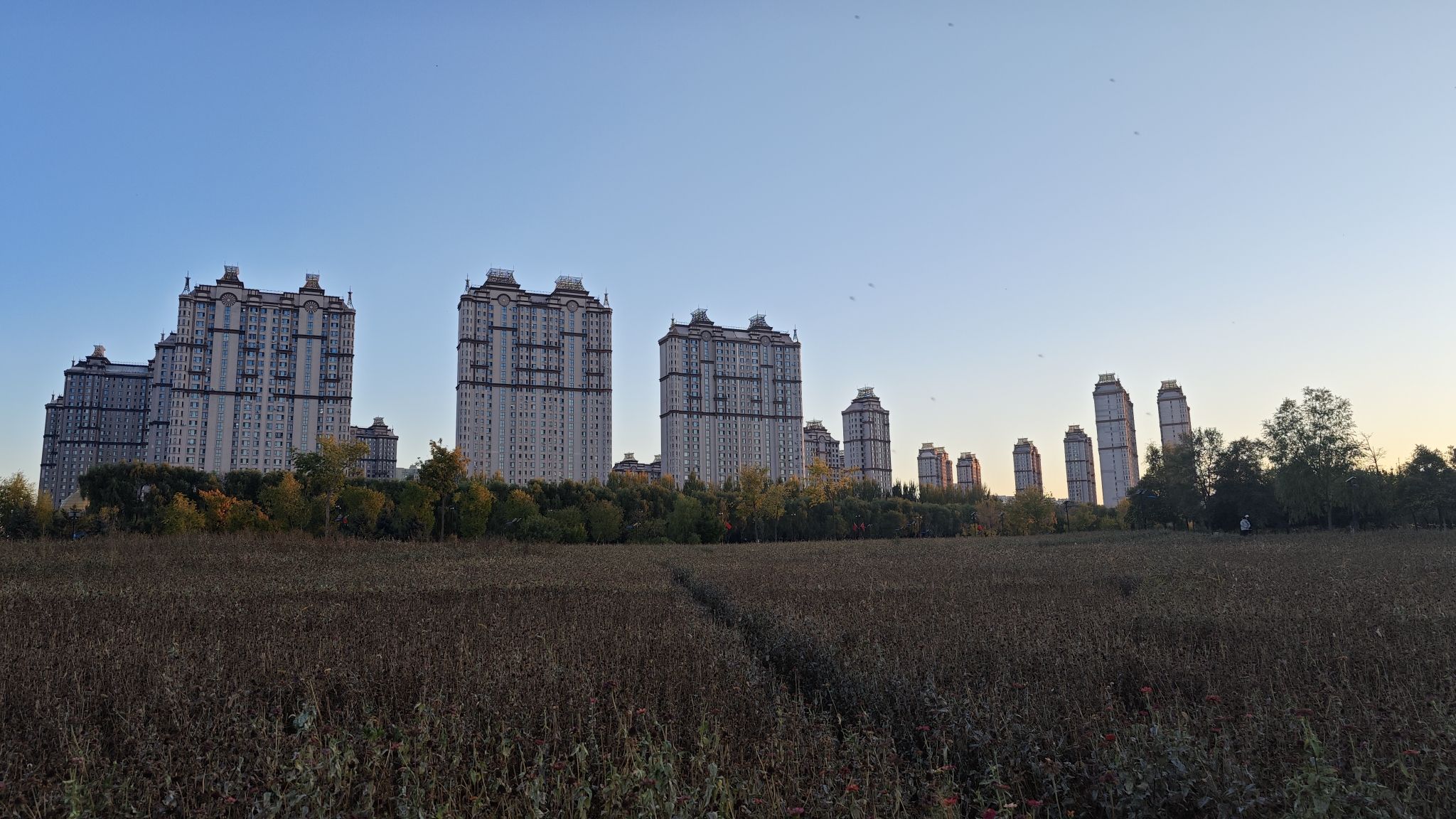 群力外滩生态湿地旅行图片 3