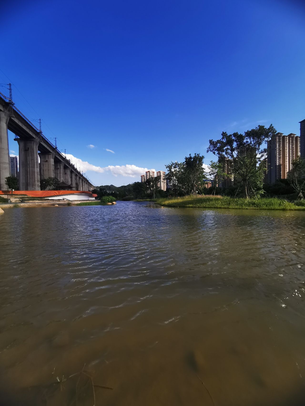 东山湿地公园旅行图片 2