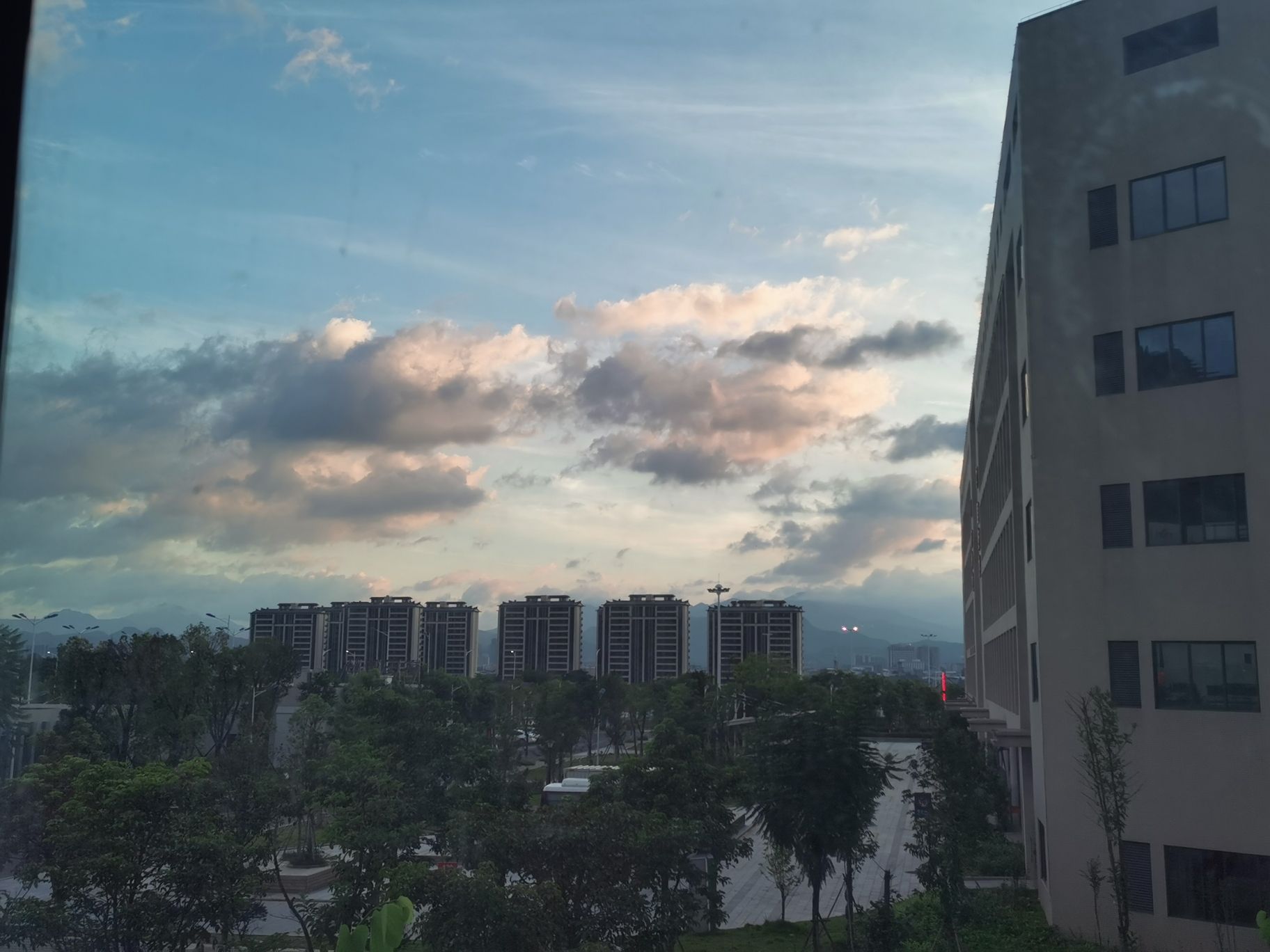 东山湿地公园旅行图片 3