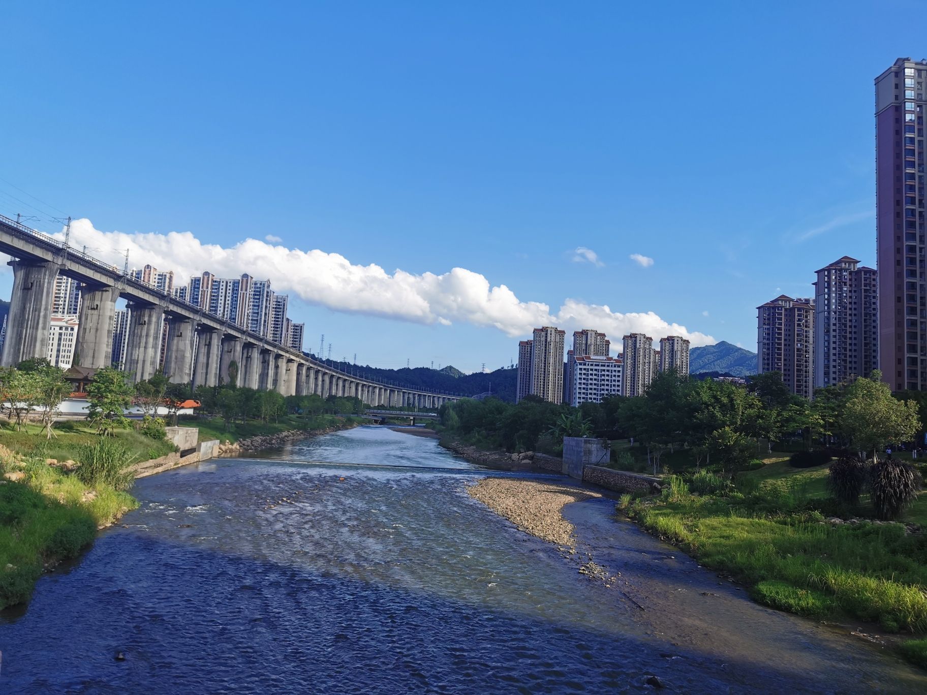 东山湿地公园旅行图片 1