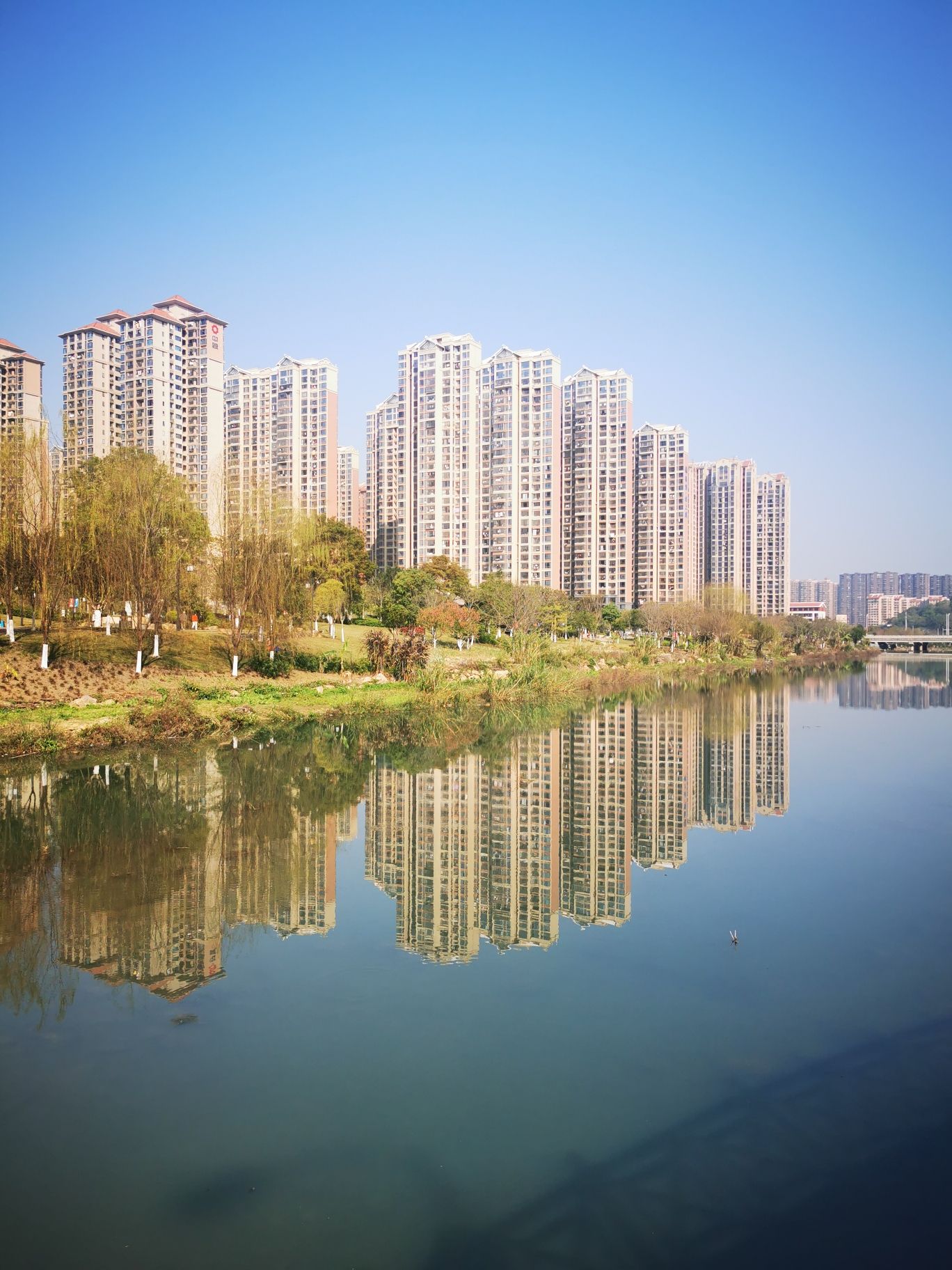 东山湿地公园