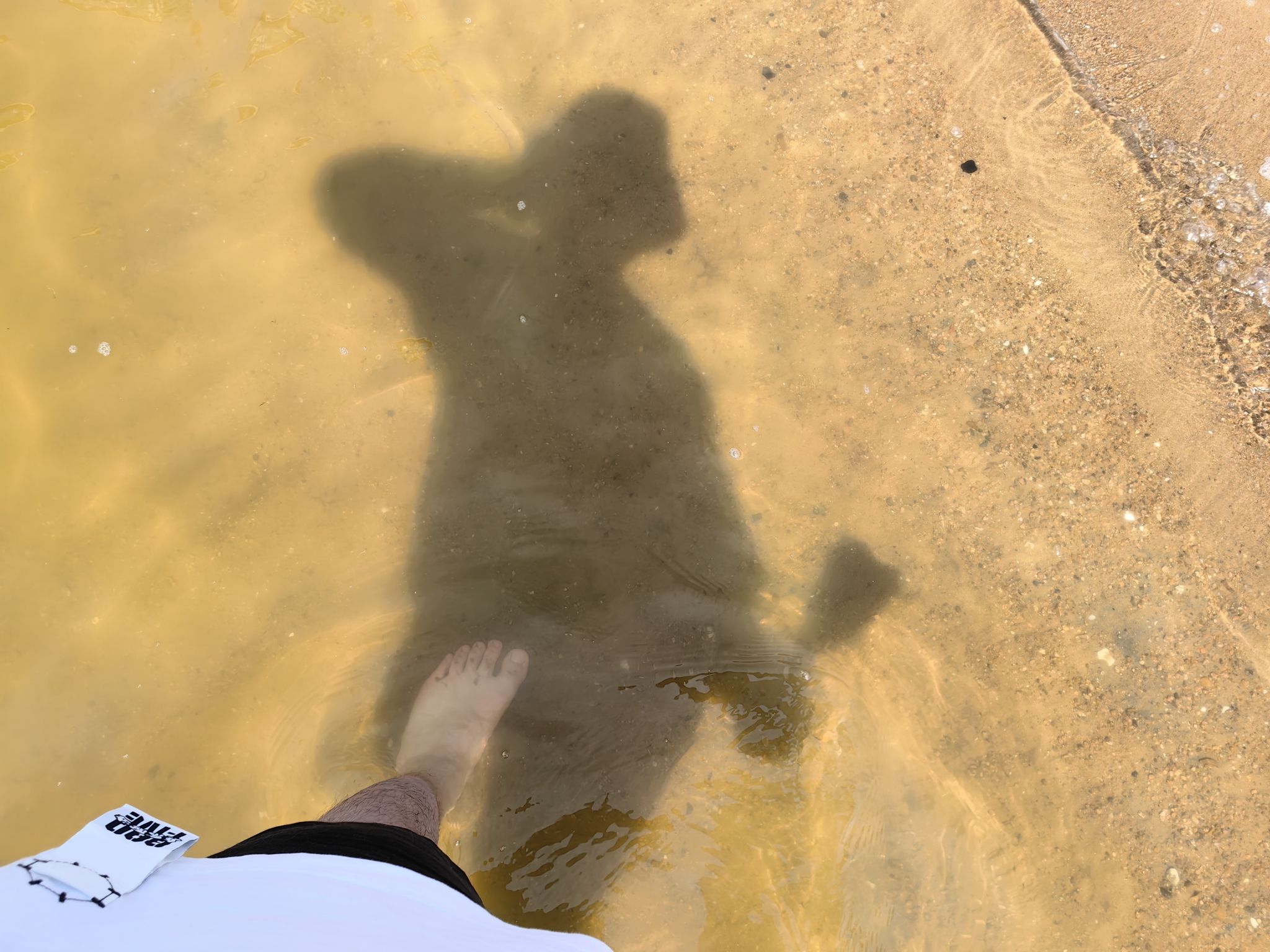 海湾旅游区旅行图片 1
