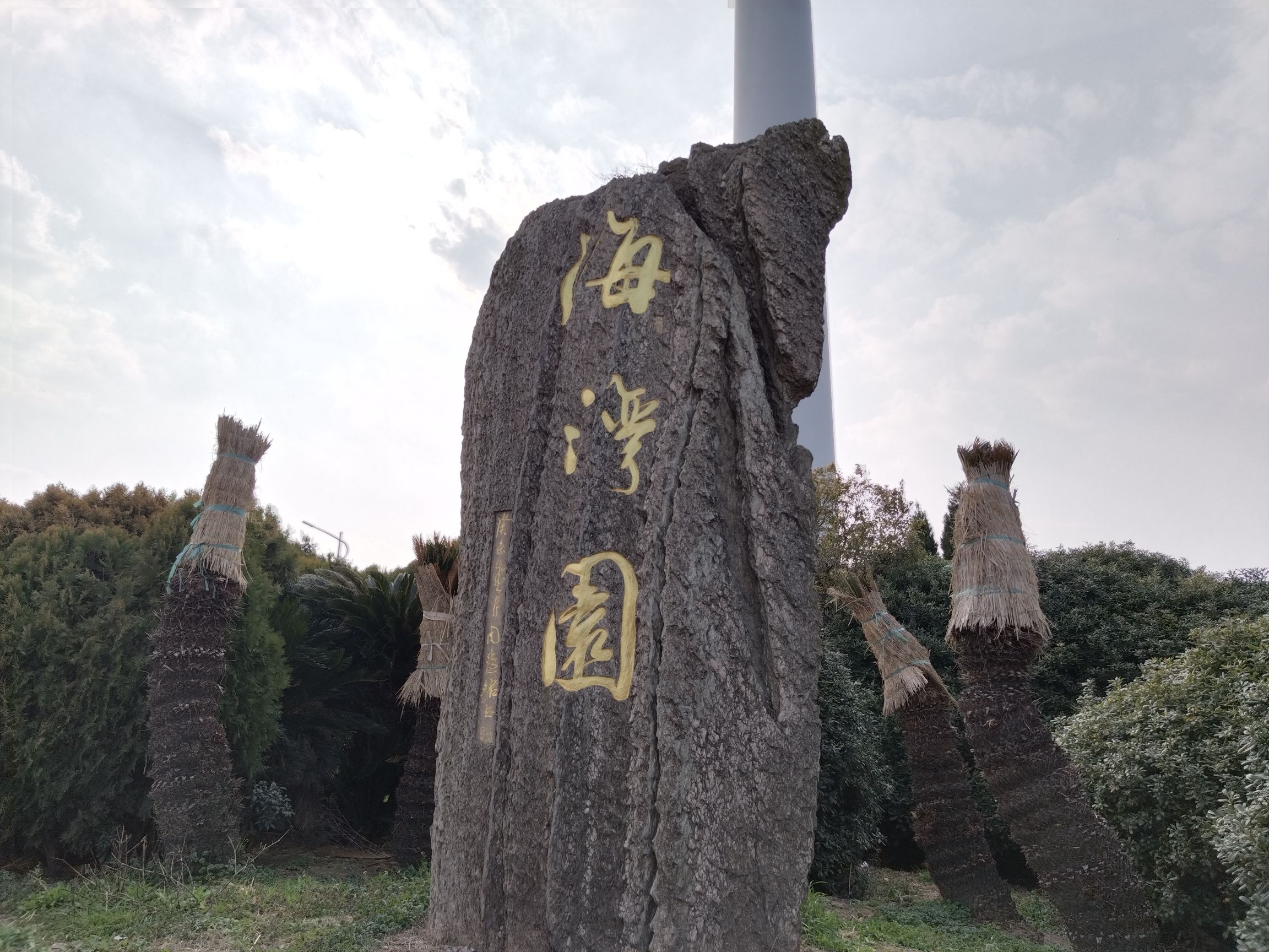 海湾旅游区旅行图片 1