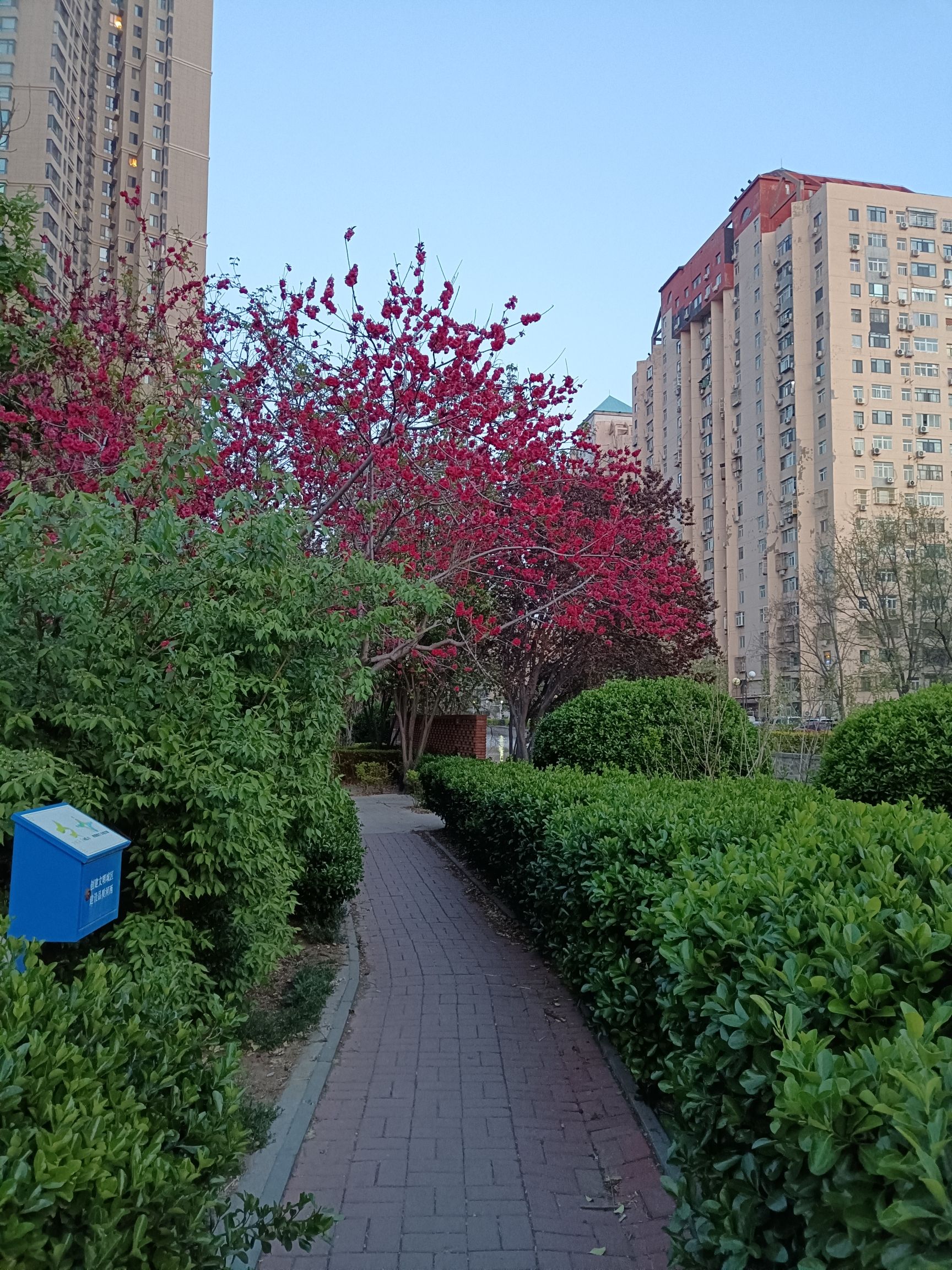 河西区法治文化主题公园旅行图片 1