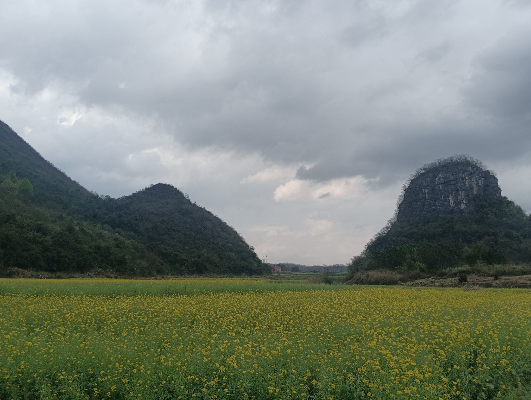 月岩岭旅行图片 3