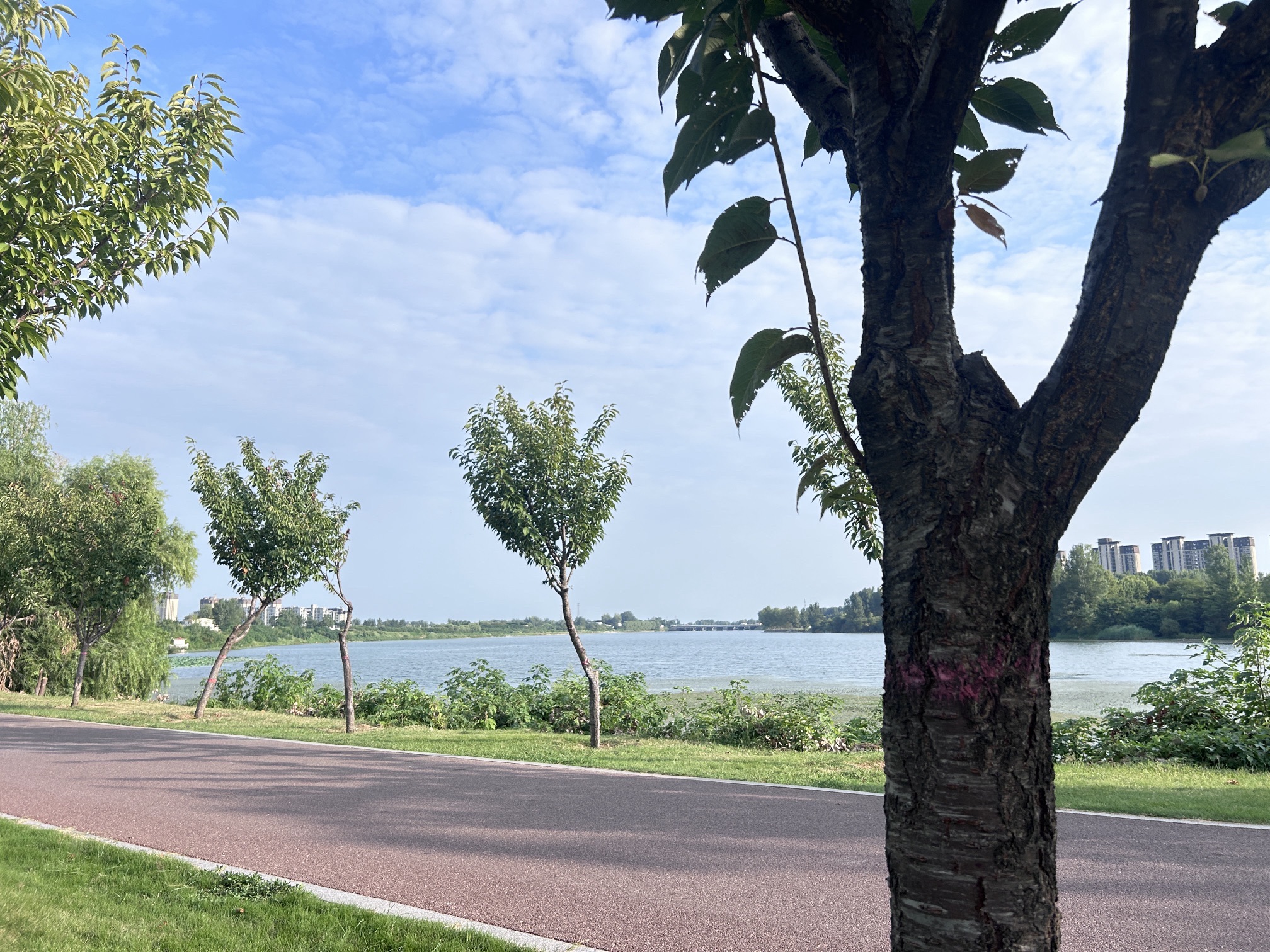 颍河登善湖城市山地公园旅行图片 1