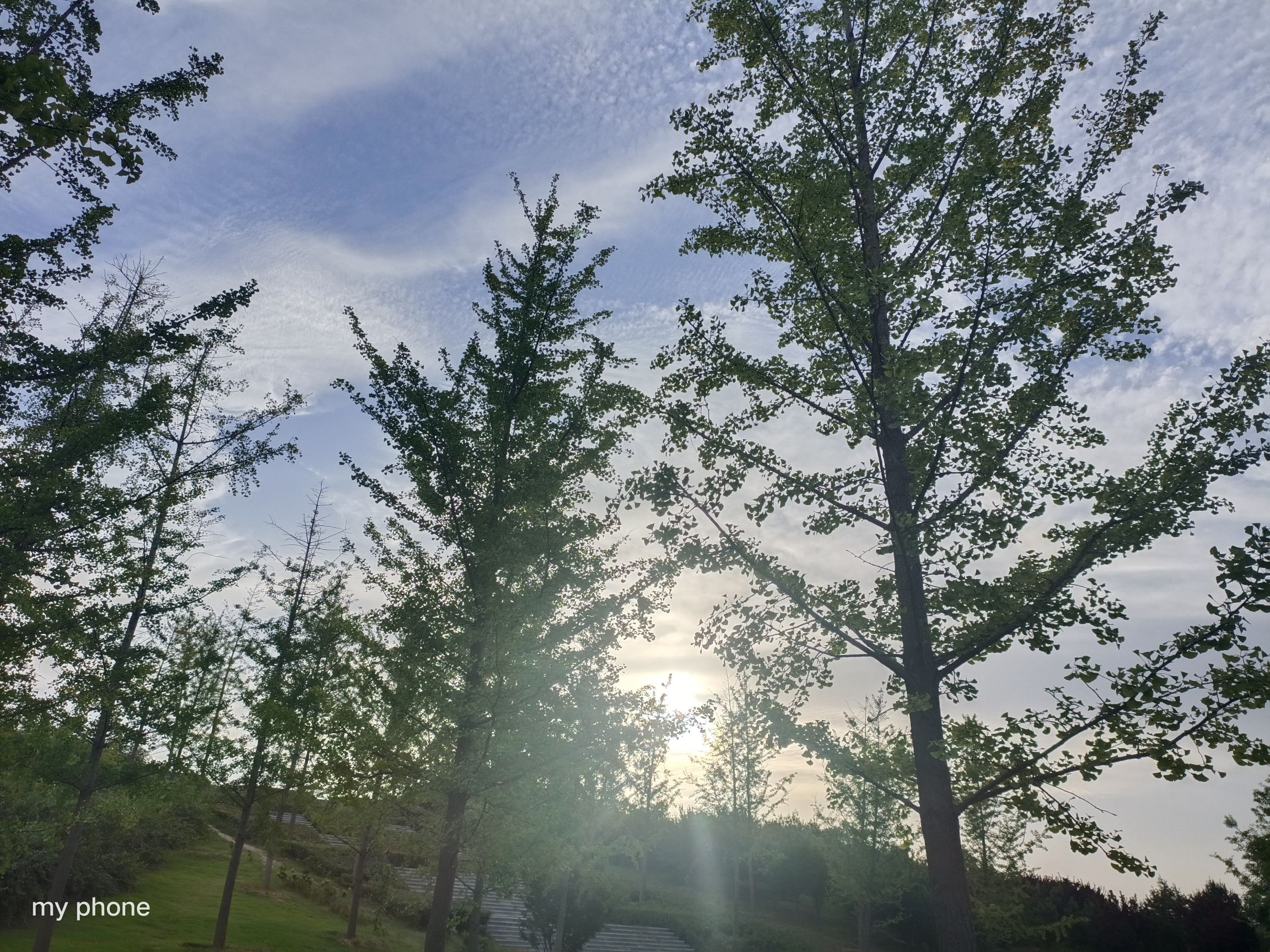 颍河登善湖城市山地公园旅行图片 2