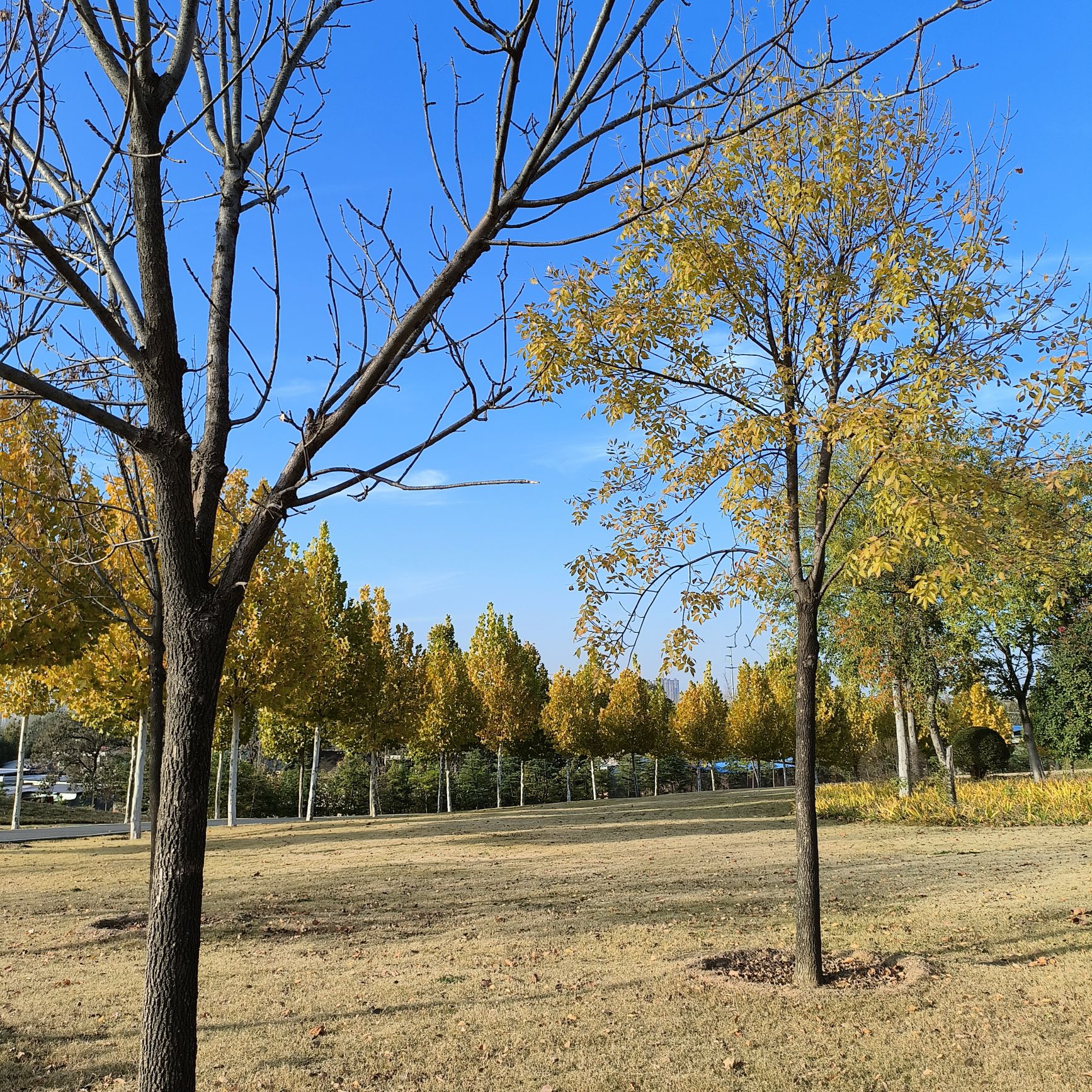 颍河登善湖城市山地公园旅行图片 1