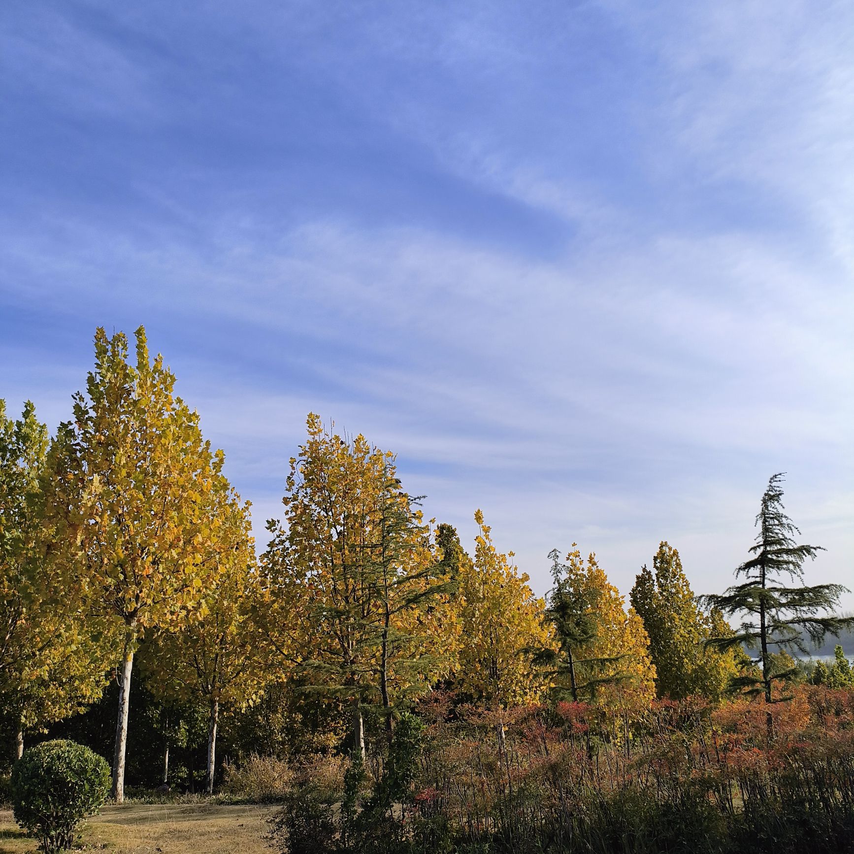 颍河登善湖城市山地公园旅行图片 3